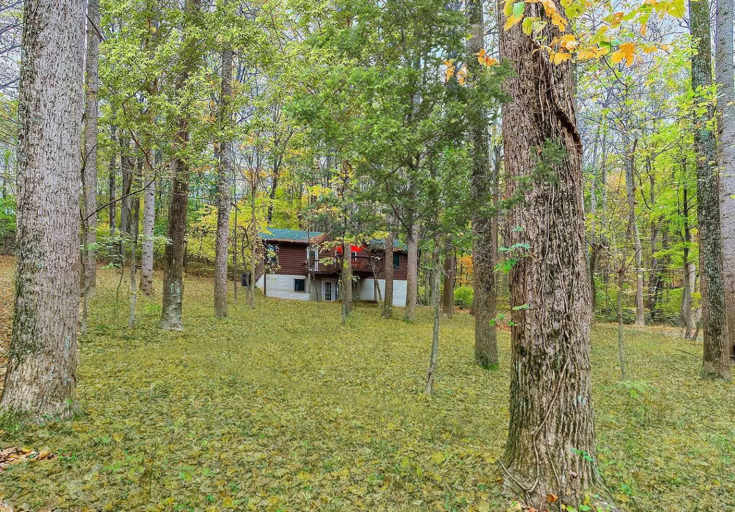 Natural landscape in Hot Tub, Deck&Grill, Game Room, WiFi at Cute Cabin