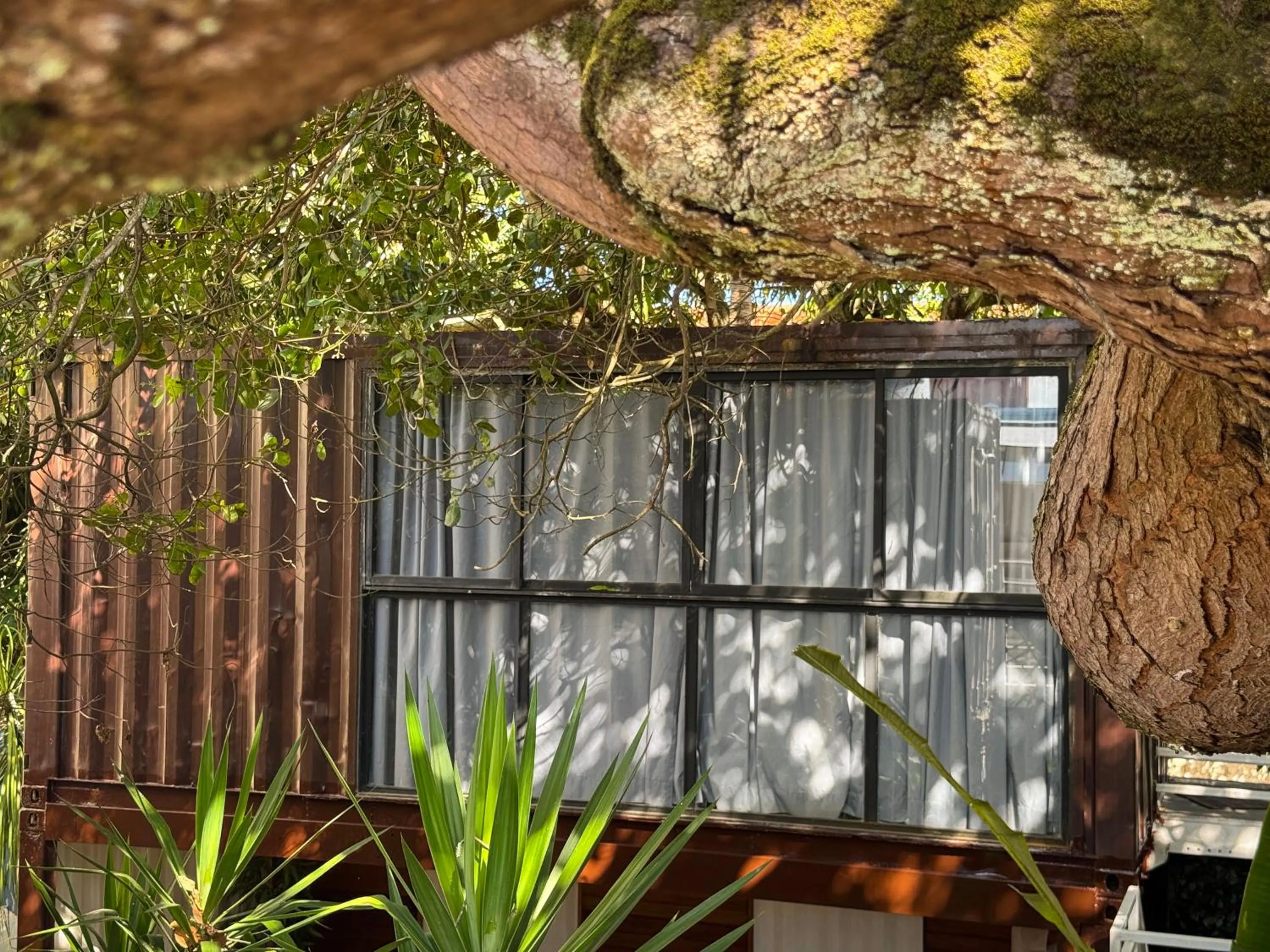 Garden in Pousada Unaí