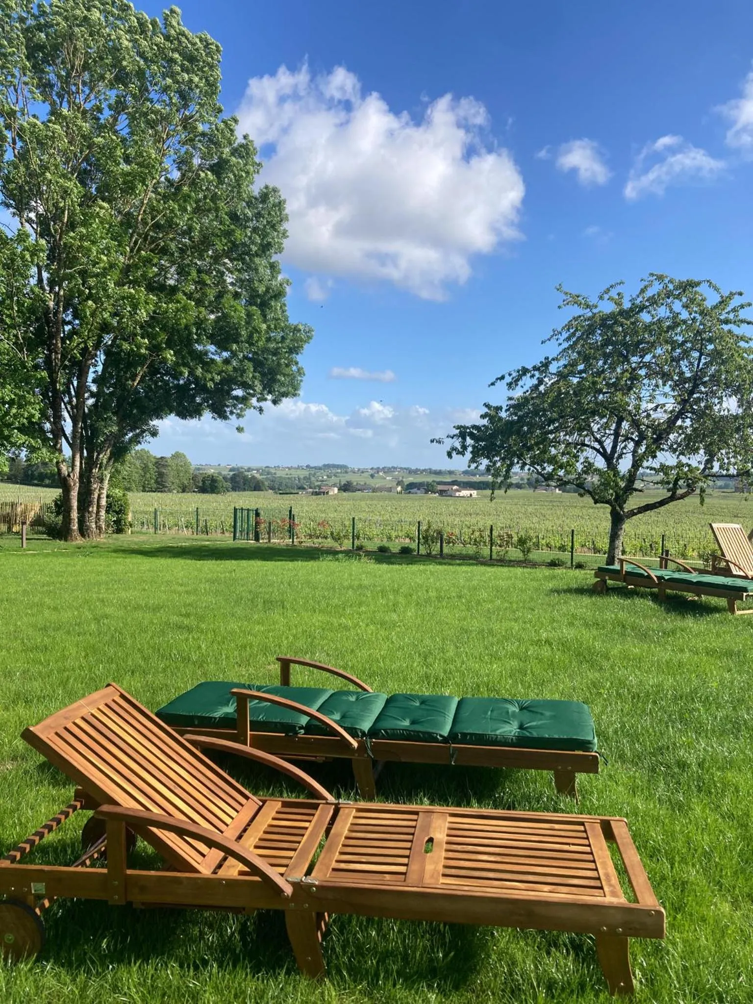 Garden in AUX DUCS DE SIENNE