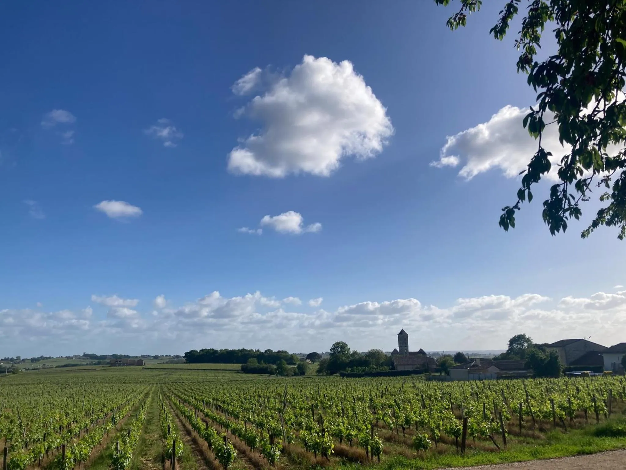 View (from property/room) in AUX DUCS DE SIENNE