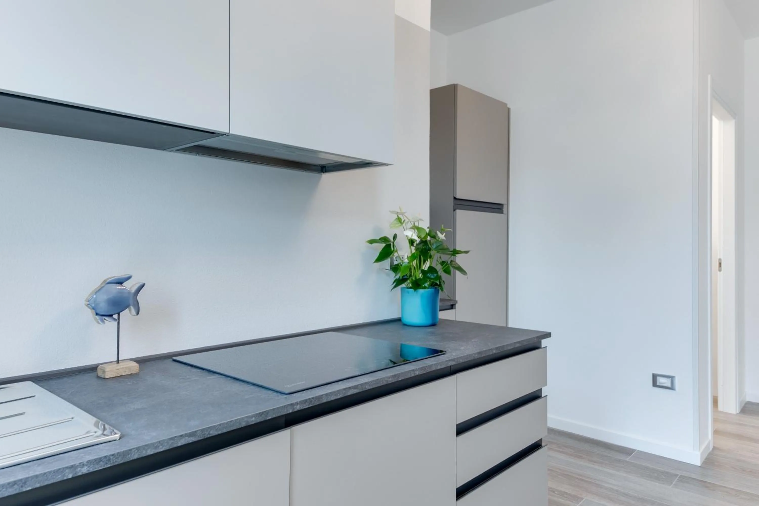 Kitchen or kitchenette in Elegance Suite Apartments - Siroli Collection