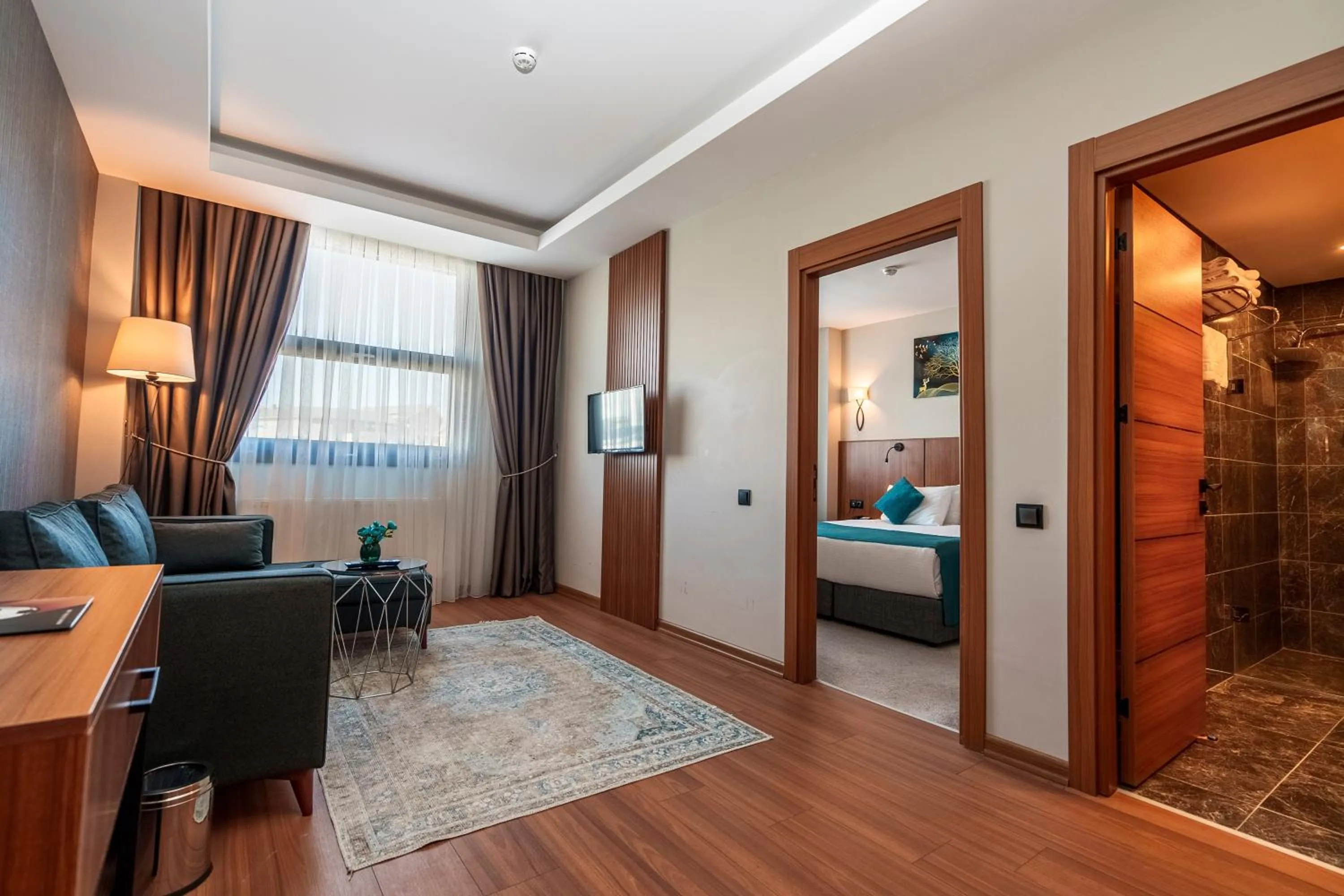 TV and multimedia, Bed in Library Hotel Erciyes