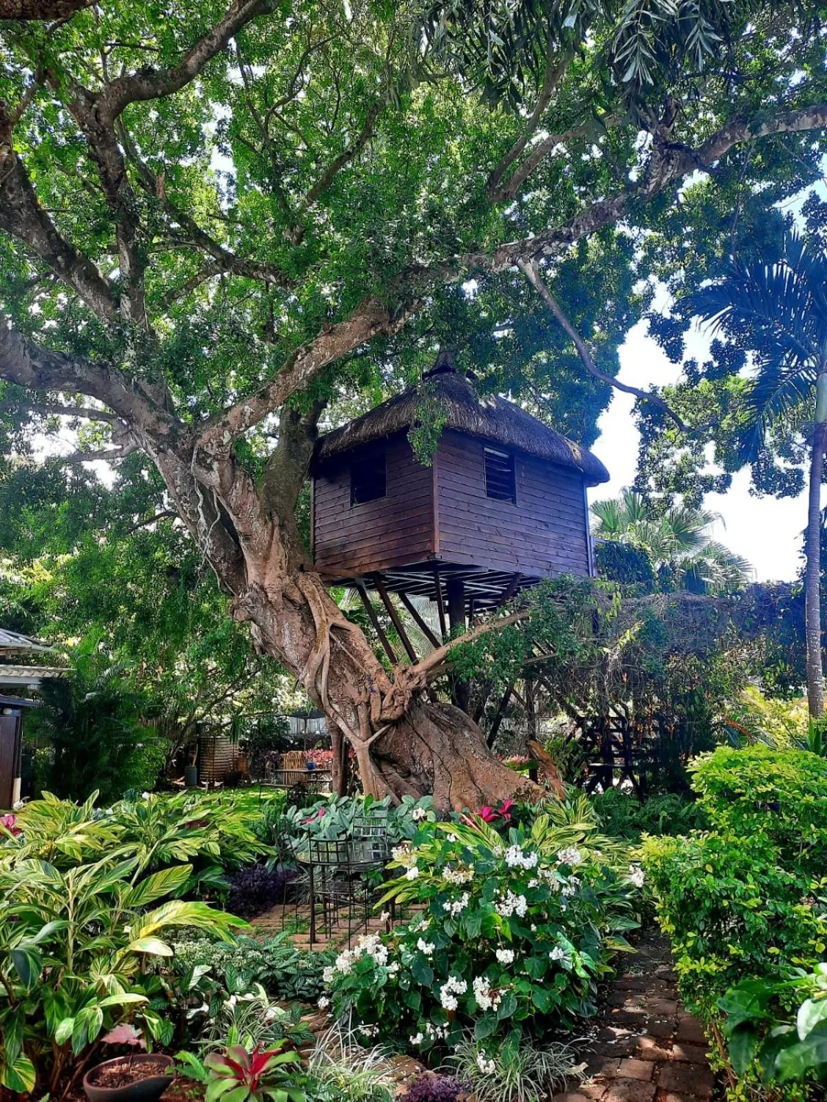 Tree Lodge Mauritius