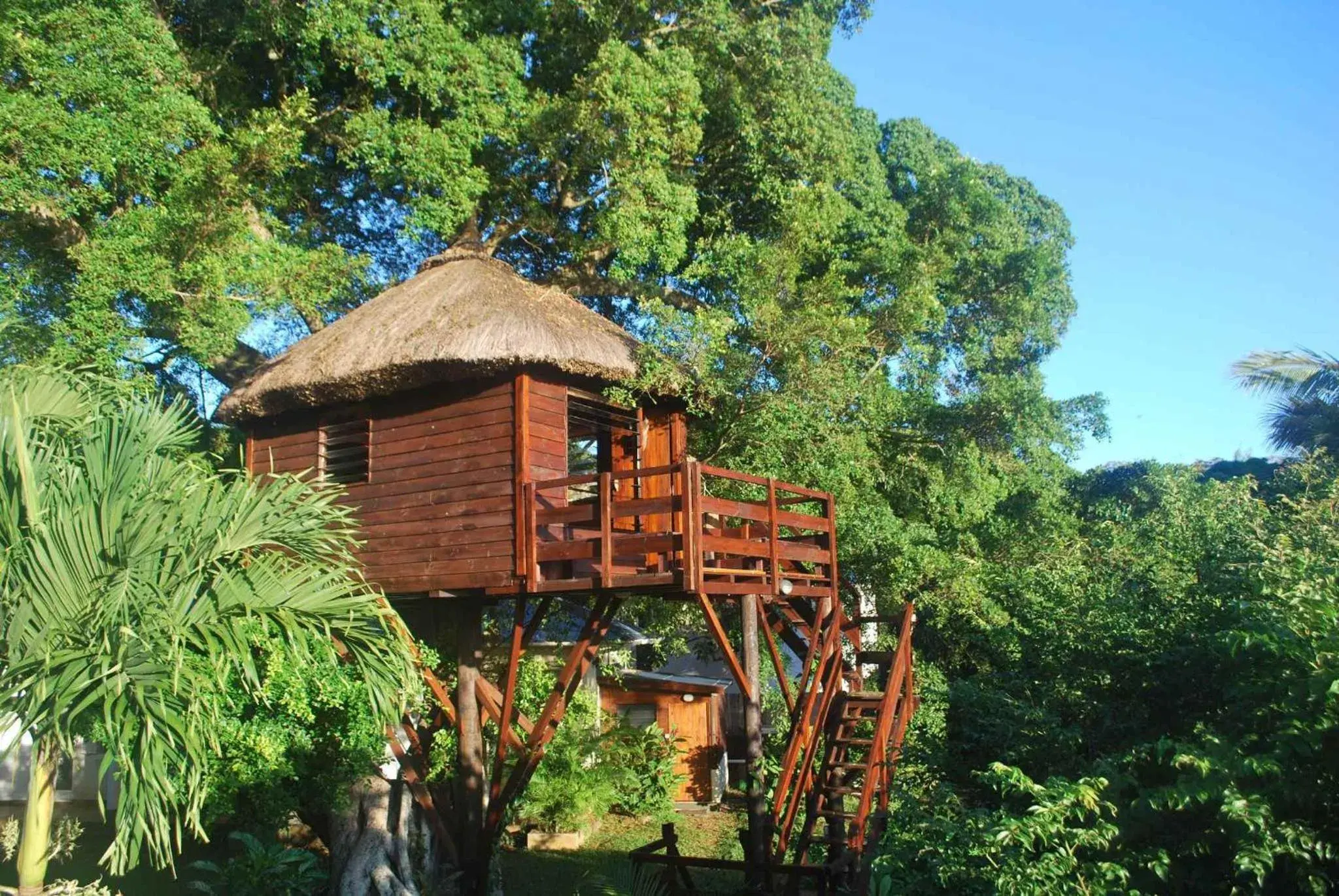Tree Lodge Mauritius Tree Lodge Mauritius