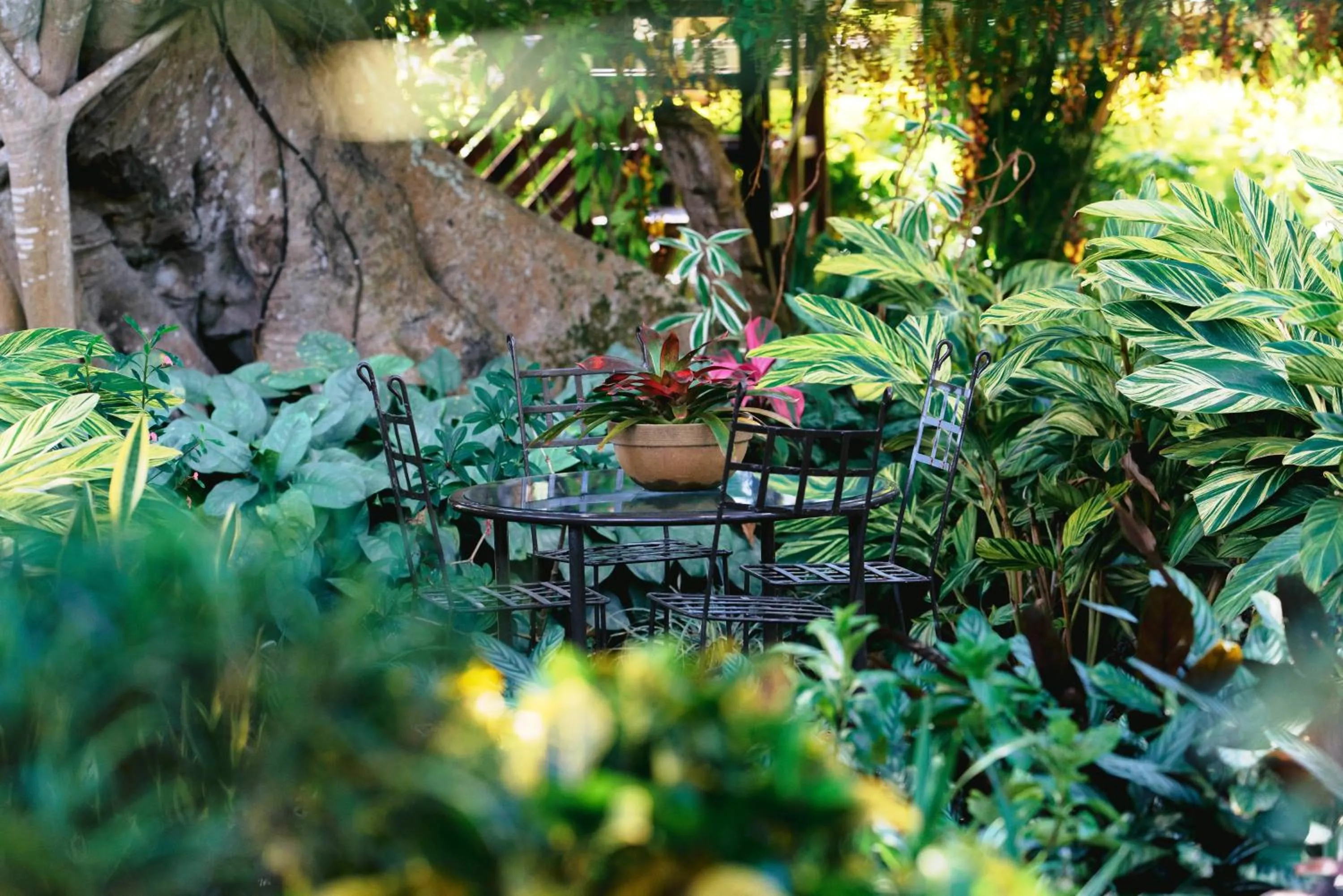 Garden in Tree Lodge Mauritius