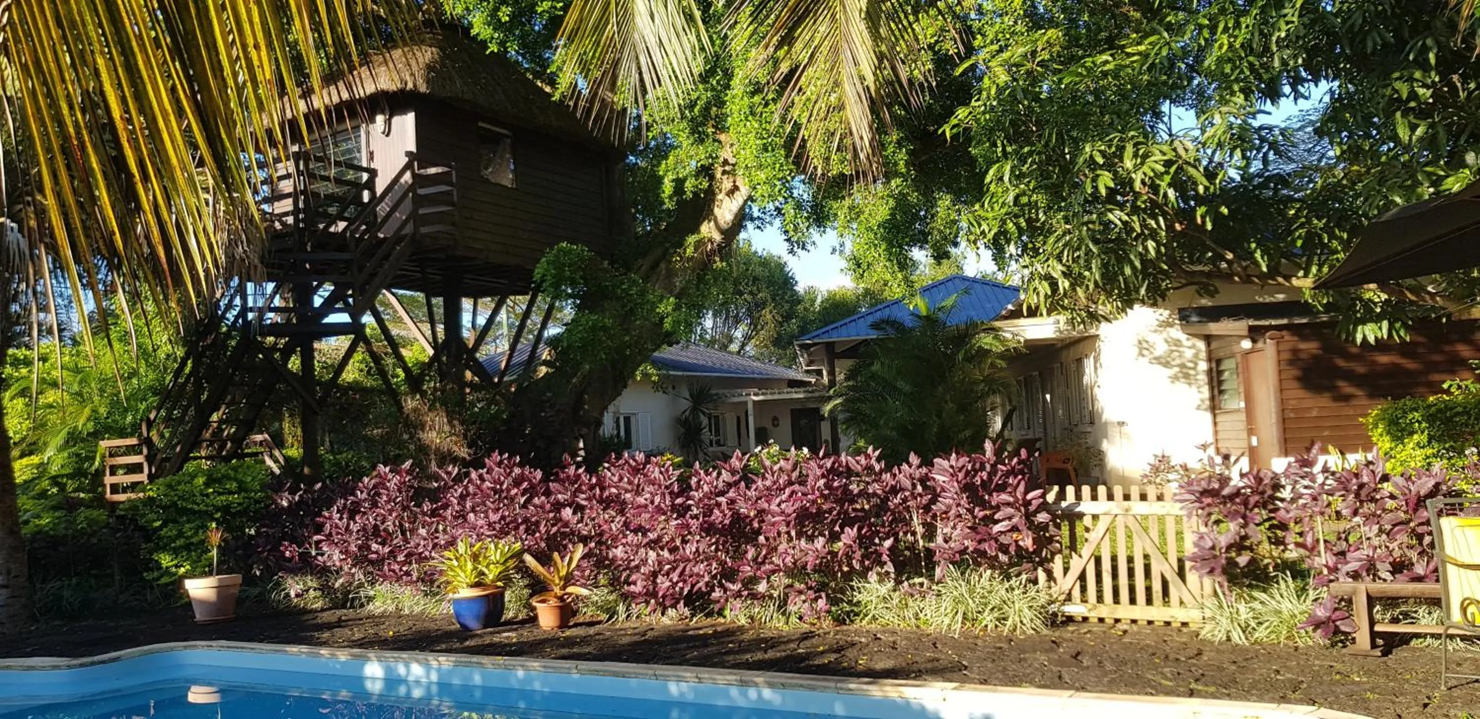 Tree Lodge Mauritius