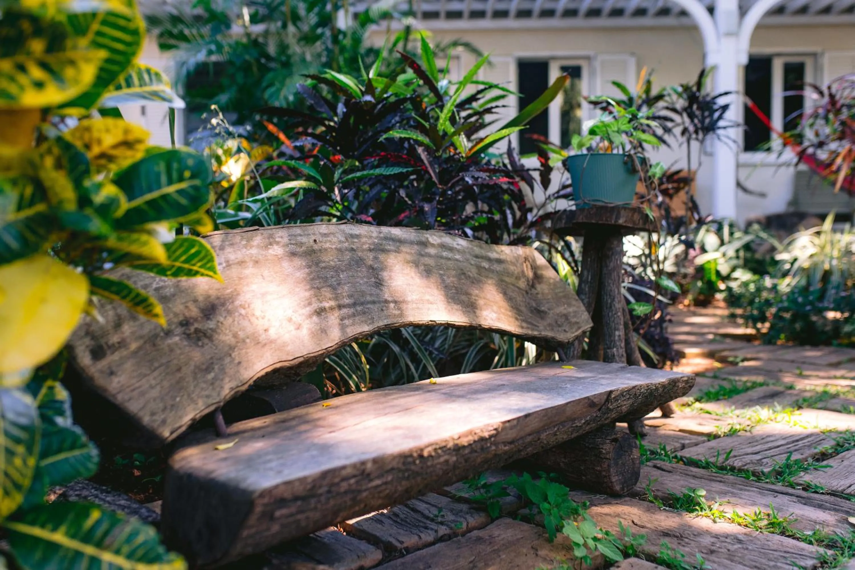 Tree Lodge Mauritius