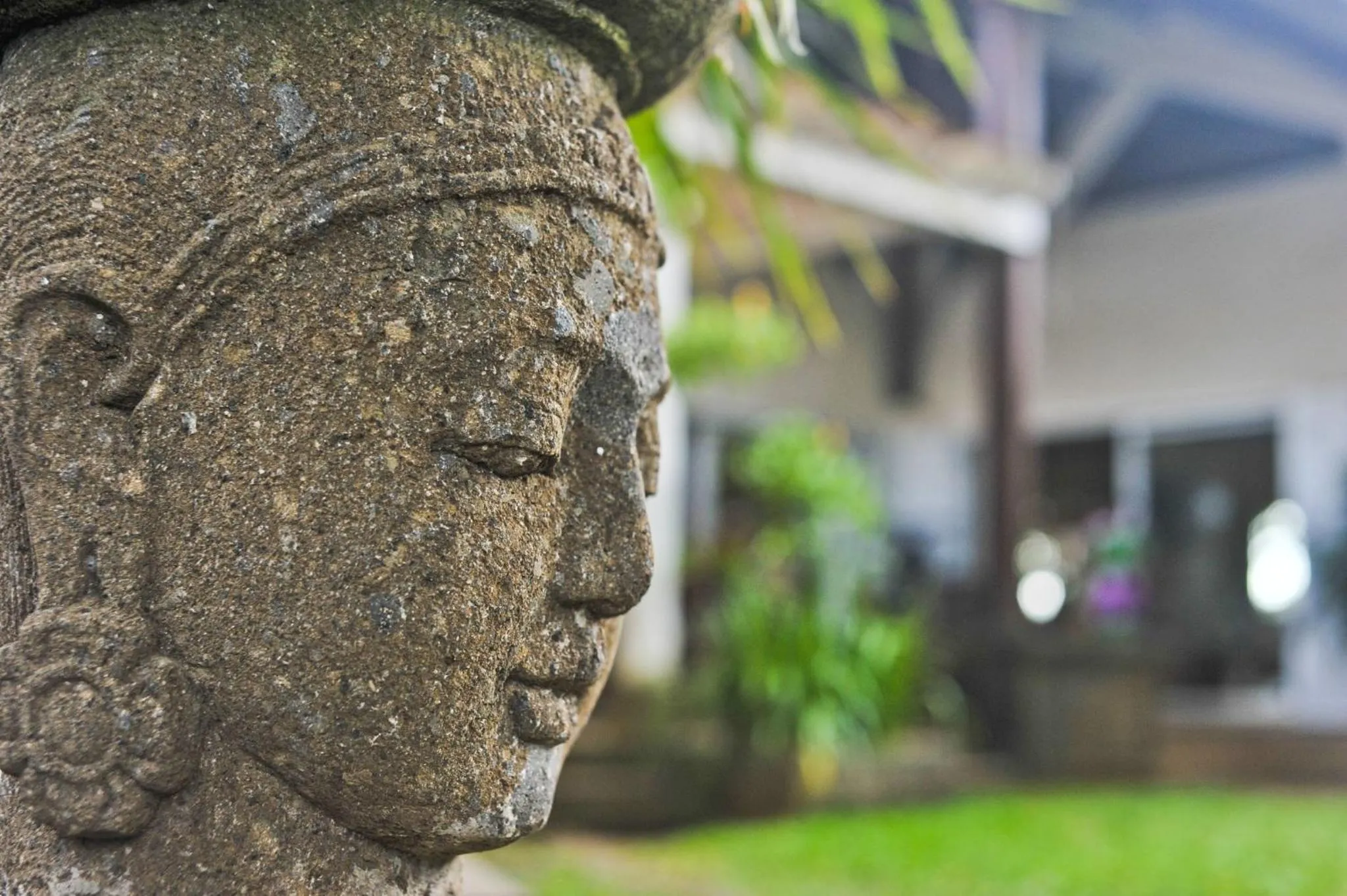 Decorative detail in Tree Lodge Mauritius