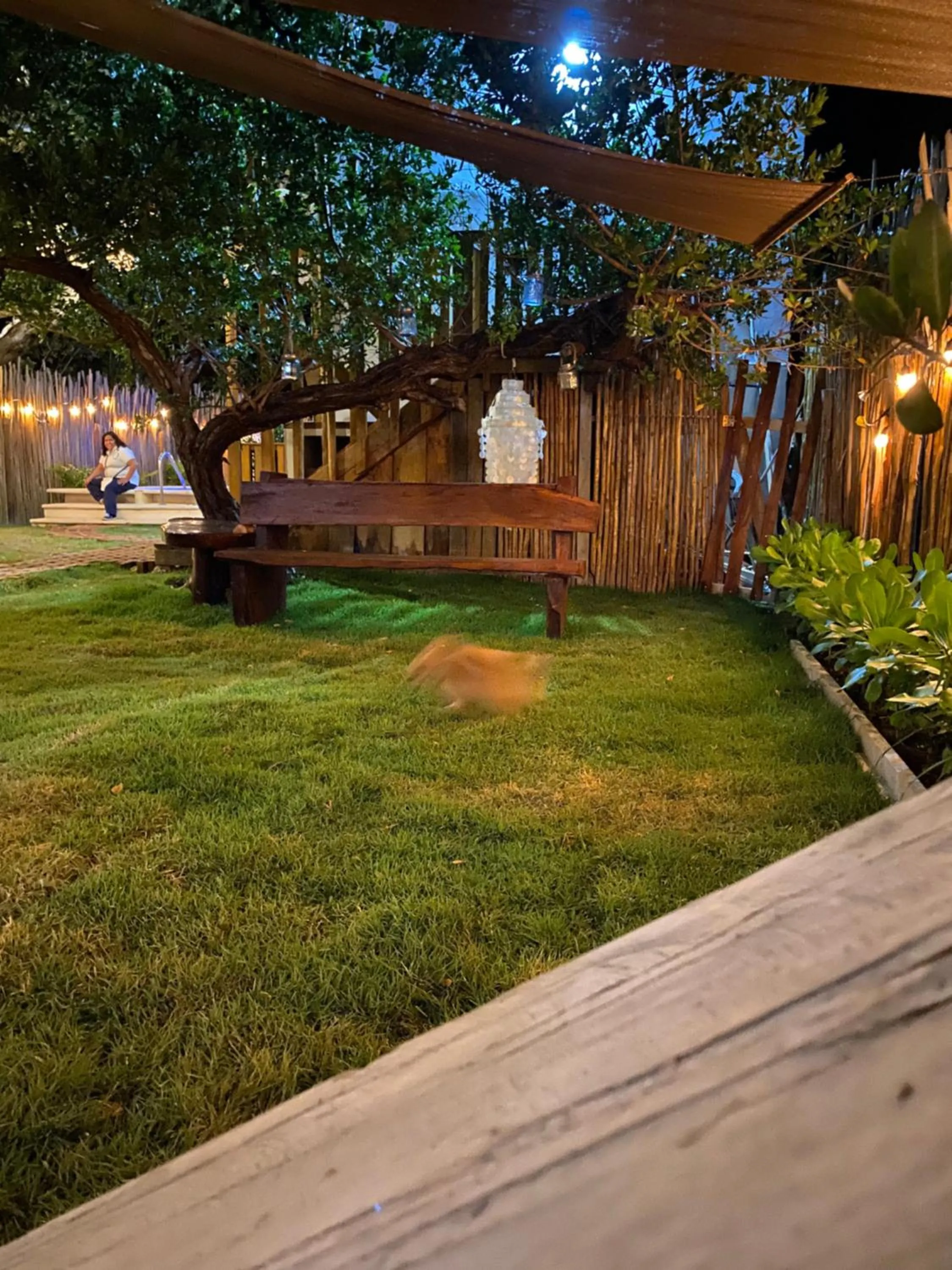 Garden in Hotel Aruma Ha