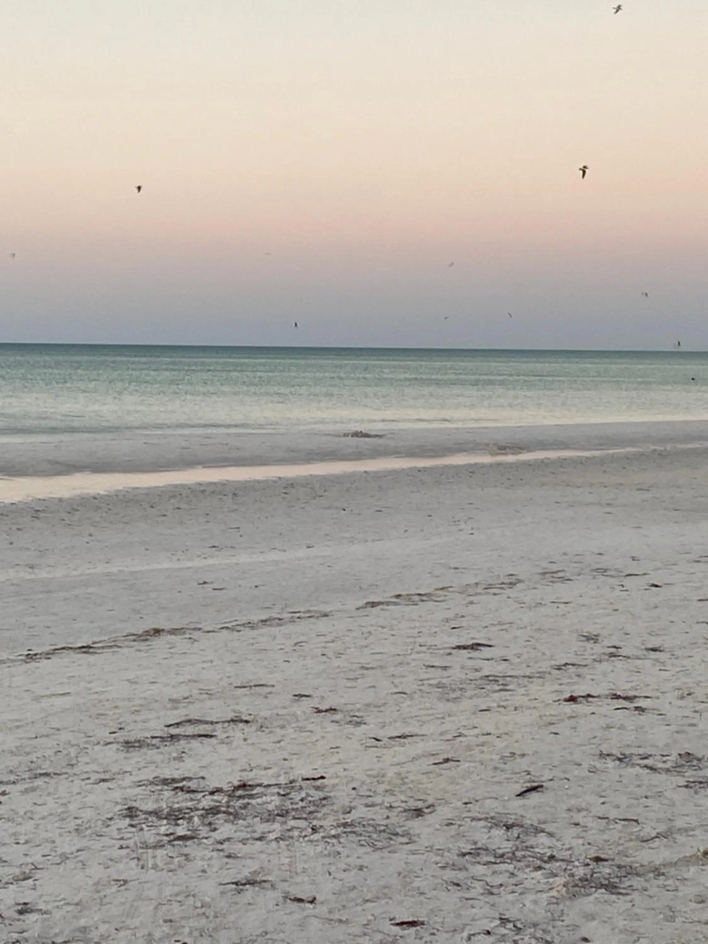 Natural landscape in Hotel Aruma Ha