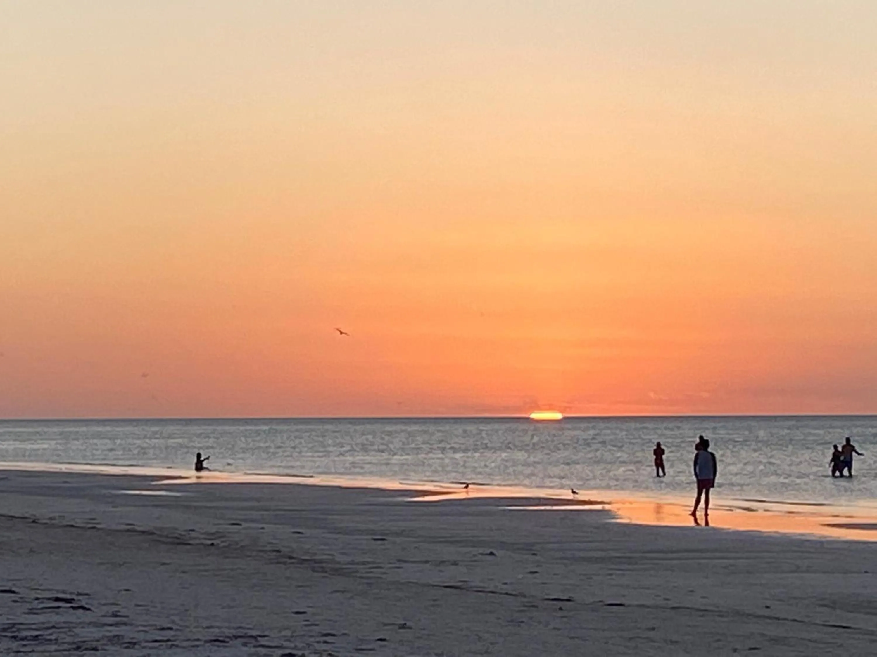 Natural landscape in Hotel Aruma Ha