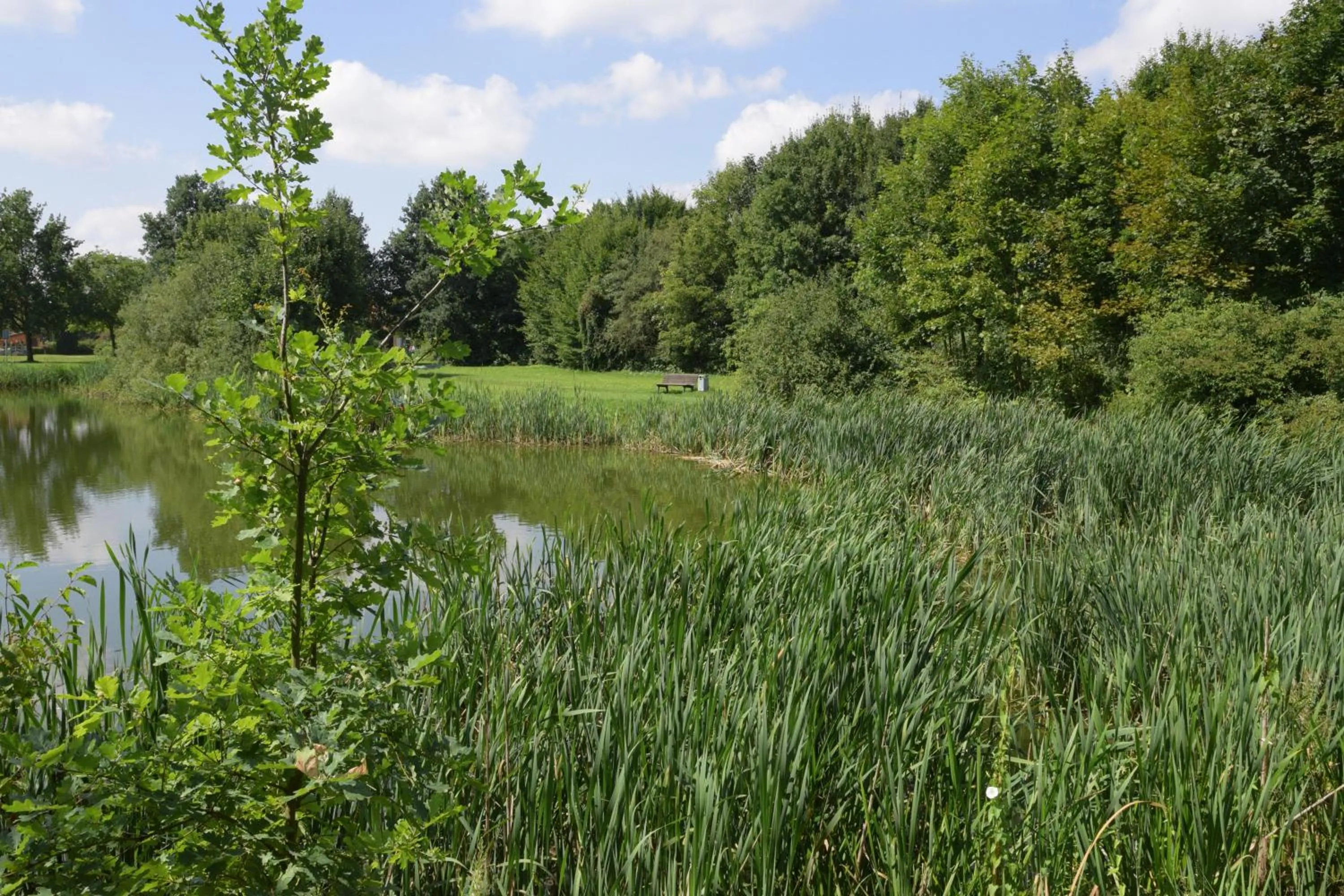 Hotel Brandenburger Hof