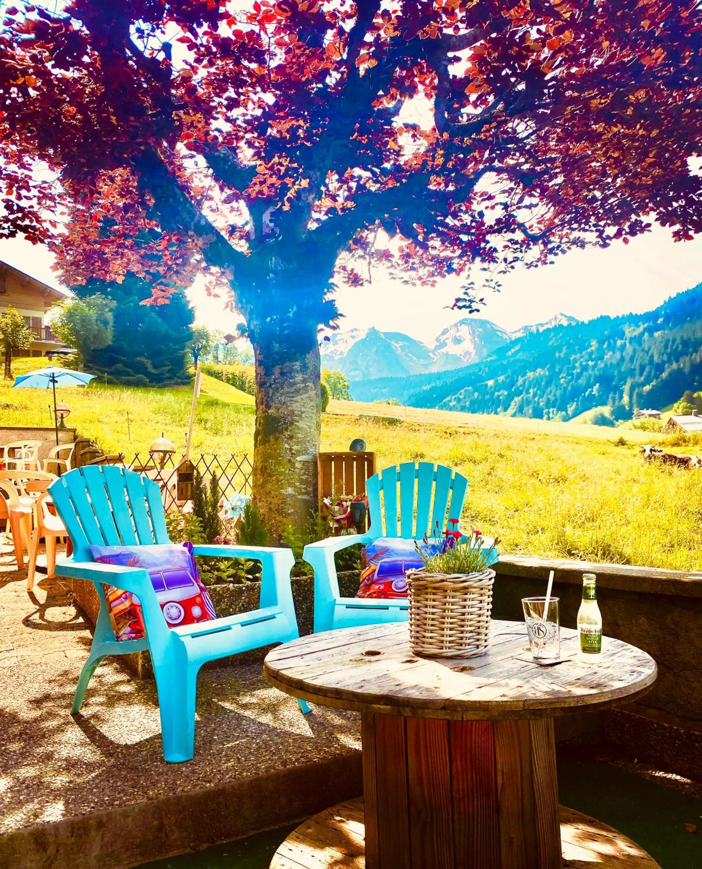 Patio in Le Rookie Mountain