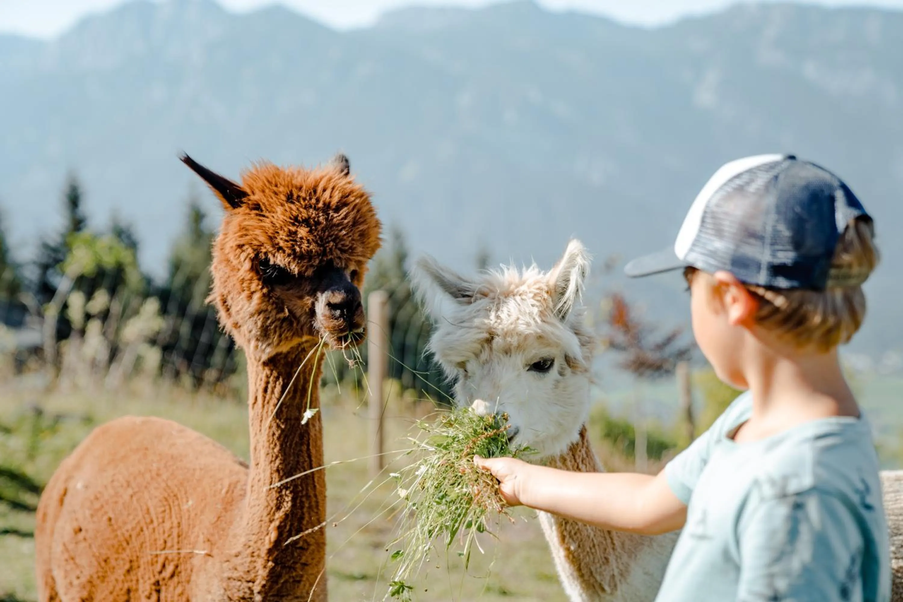 Day in Natur- und Wellnesshotel Höflehner
