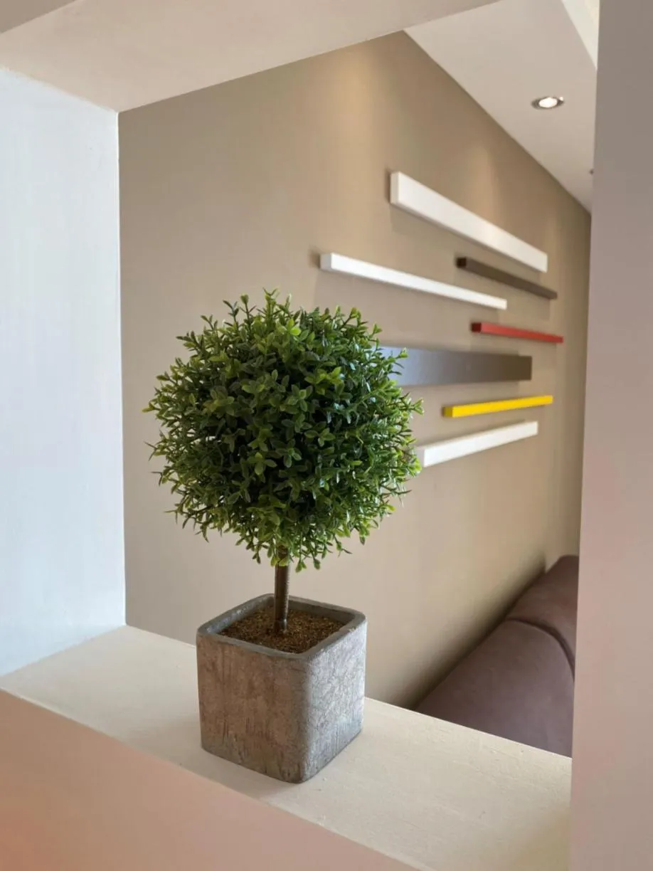 Decorative detail in Studio Orient Bay