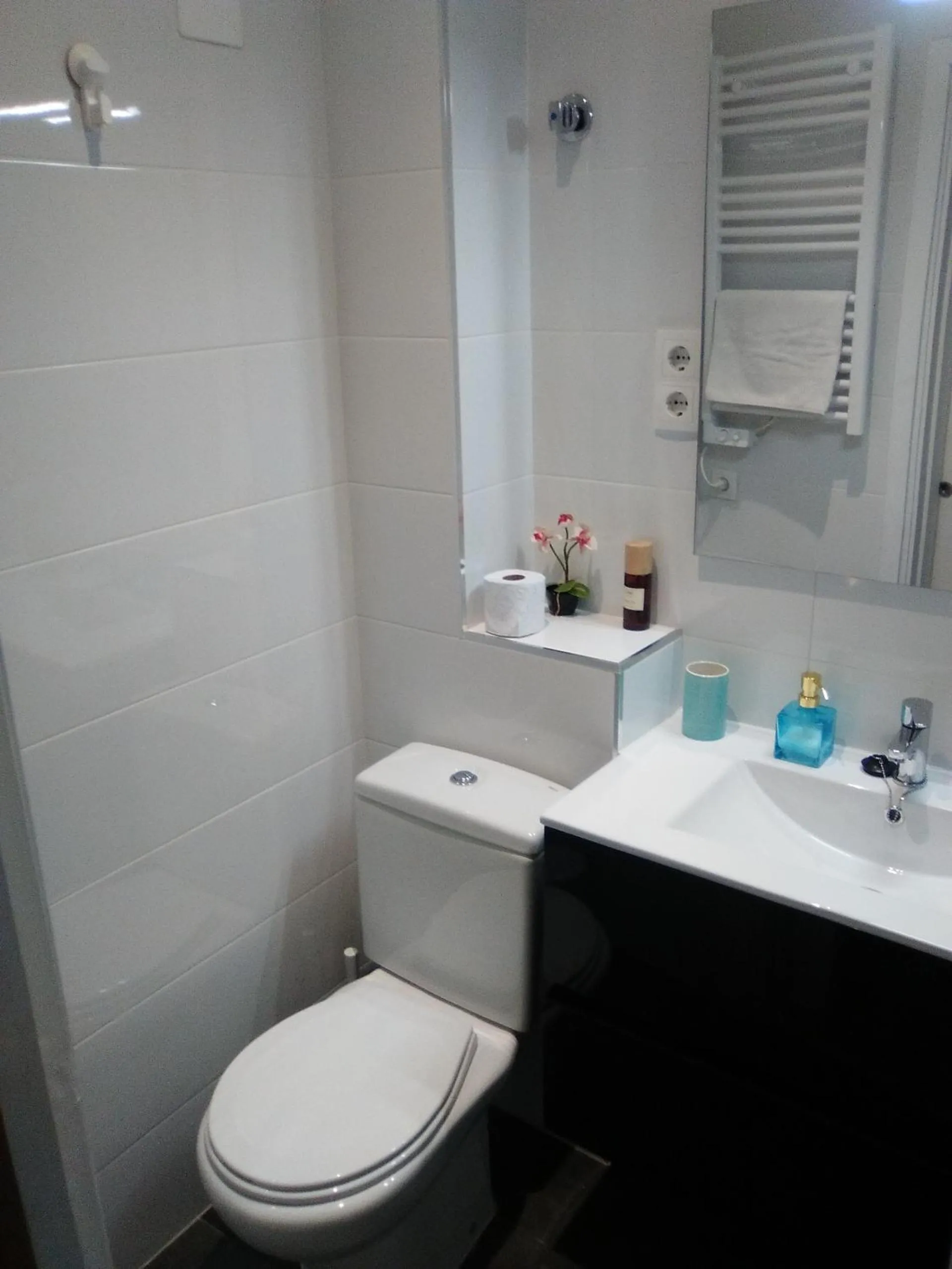 Bathroom in Colom Apartments