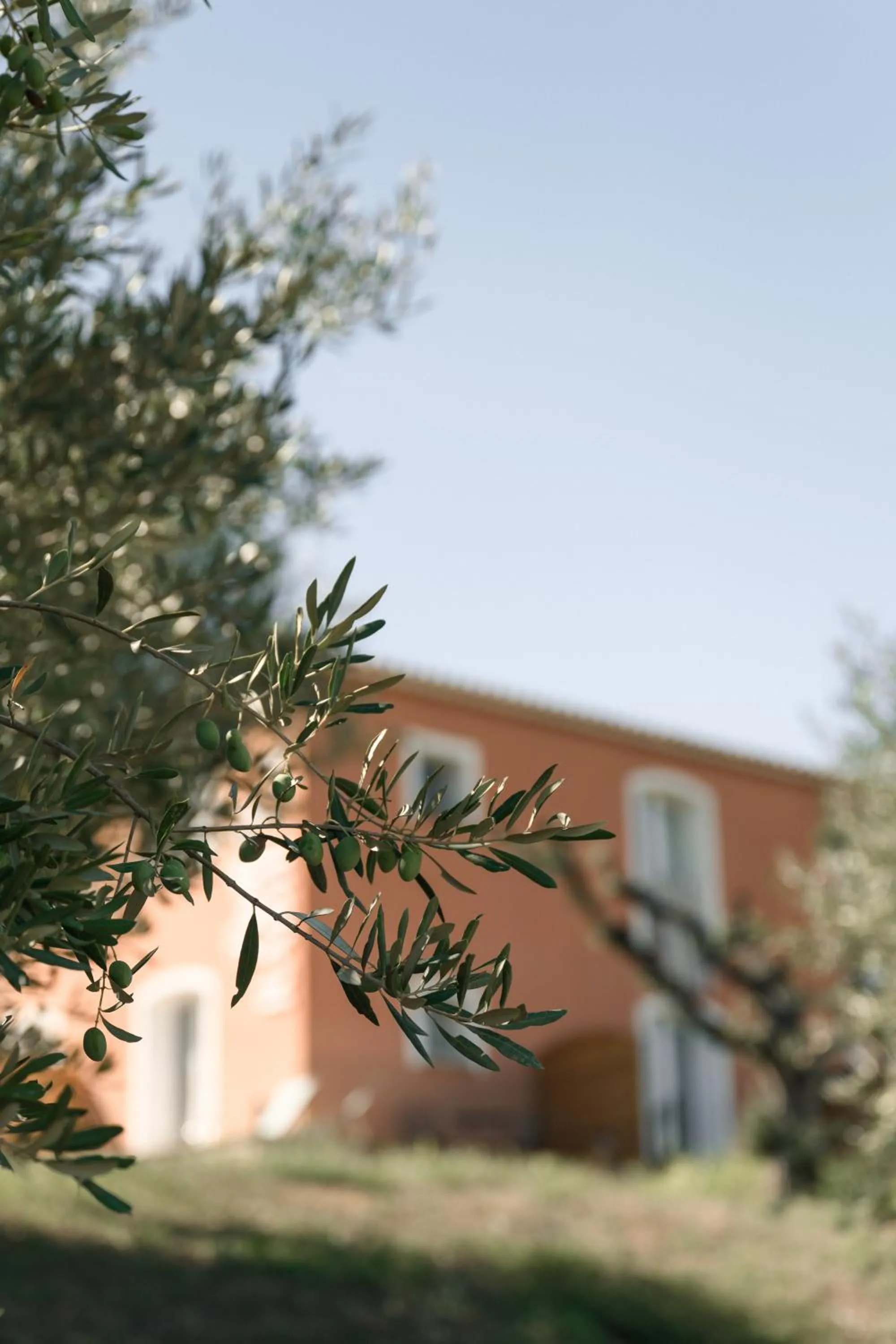 Property building in Domaine Rabiega - Vineyard and Boutique hotel