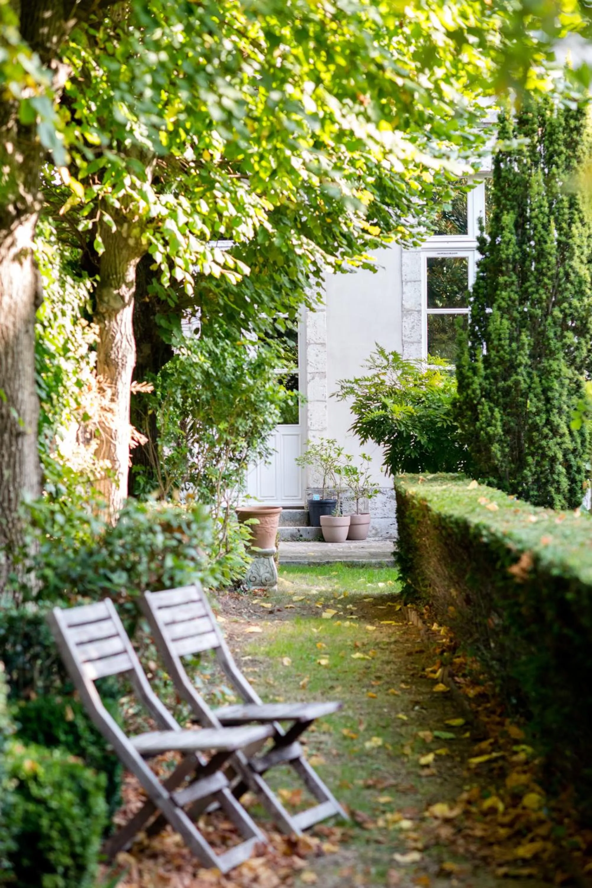 Garden in Maison Ailleurs