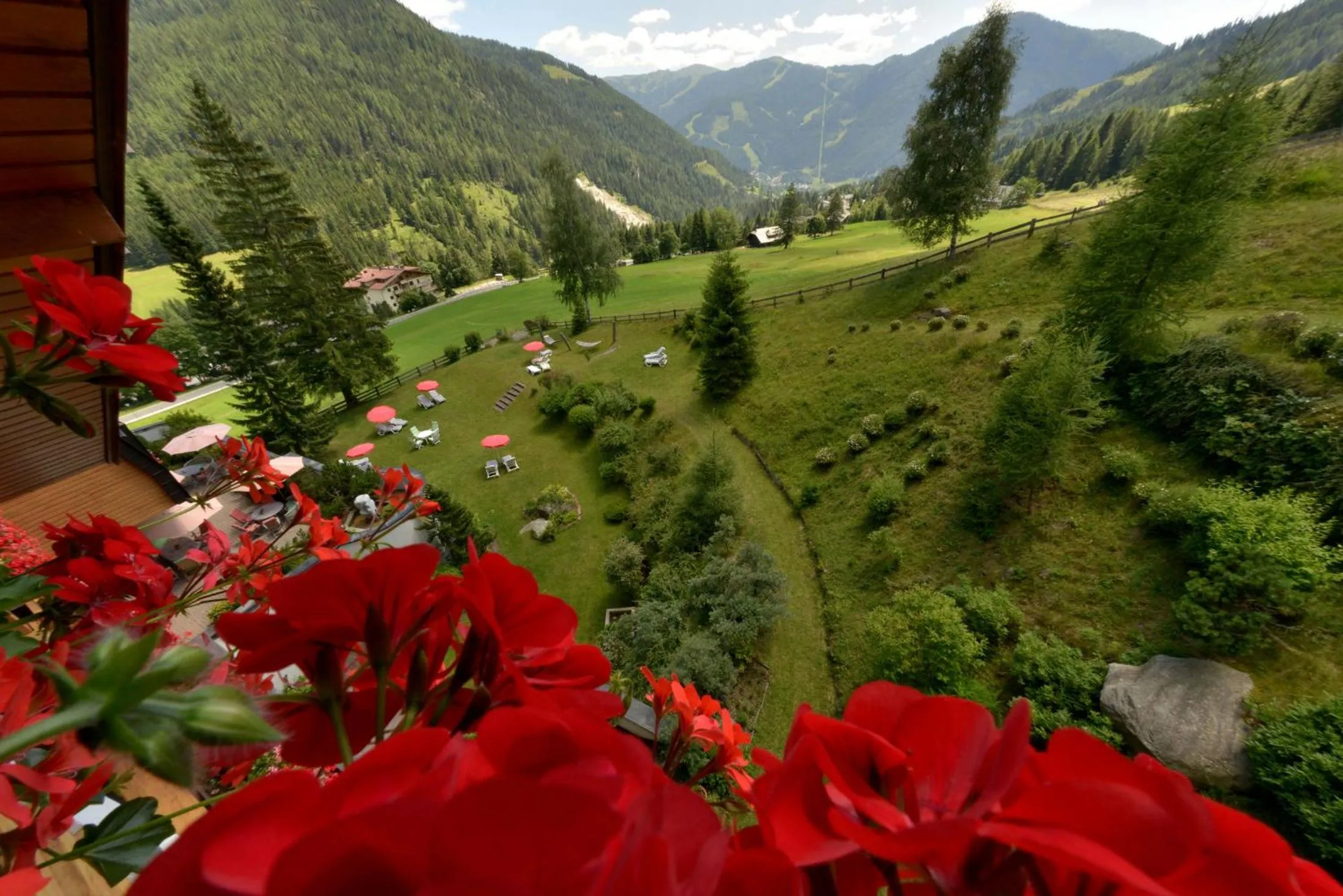 Garden in Hotel St. Oswald