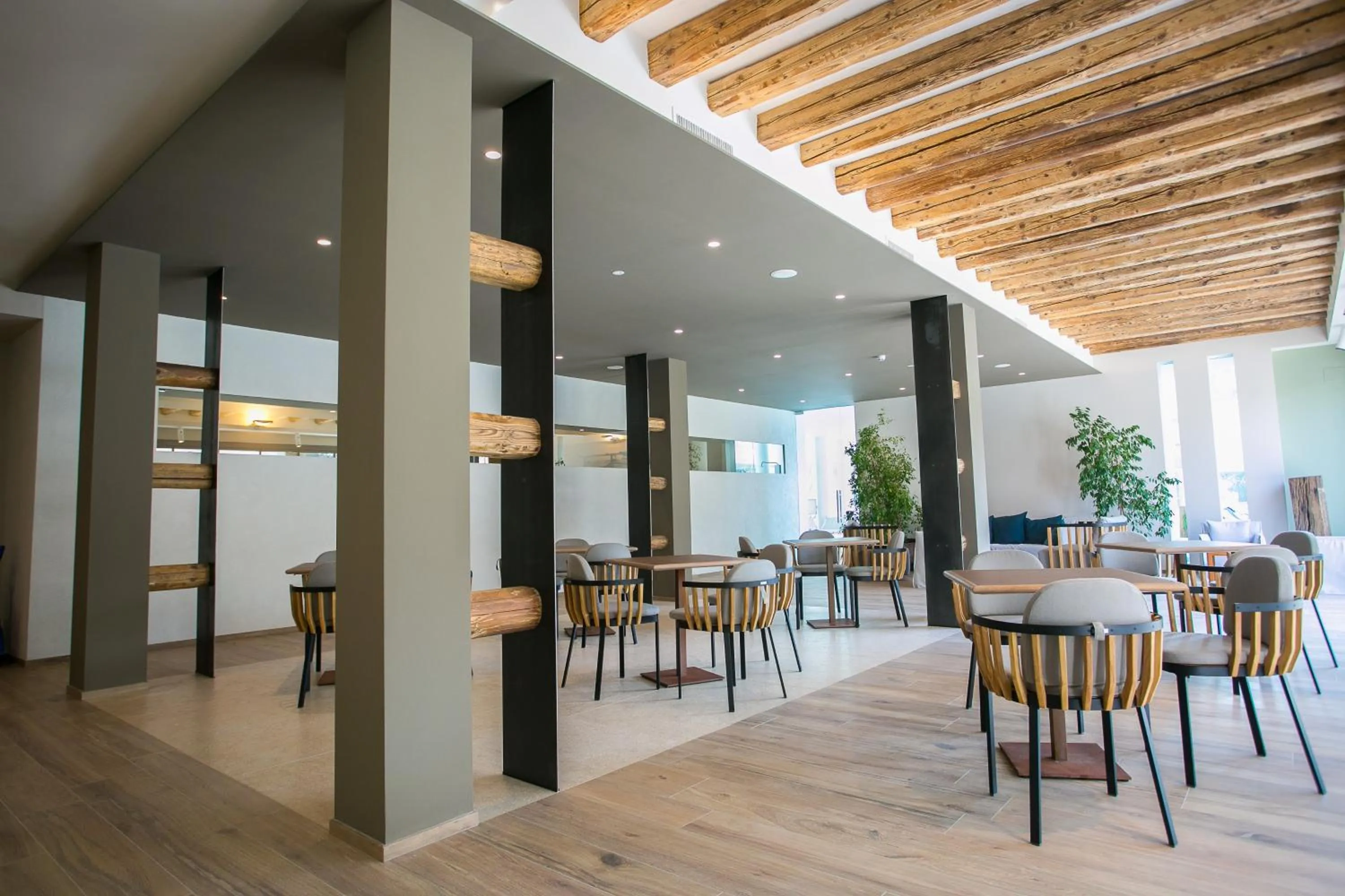 Restaurant/places to eat in Hotel Terme Neroniane