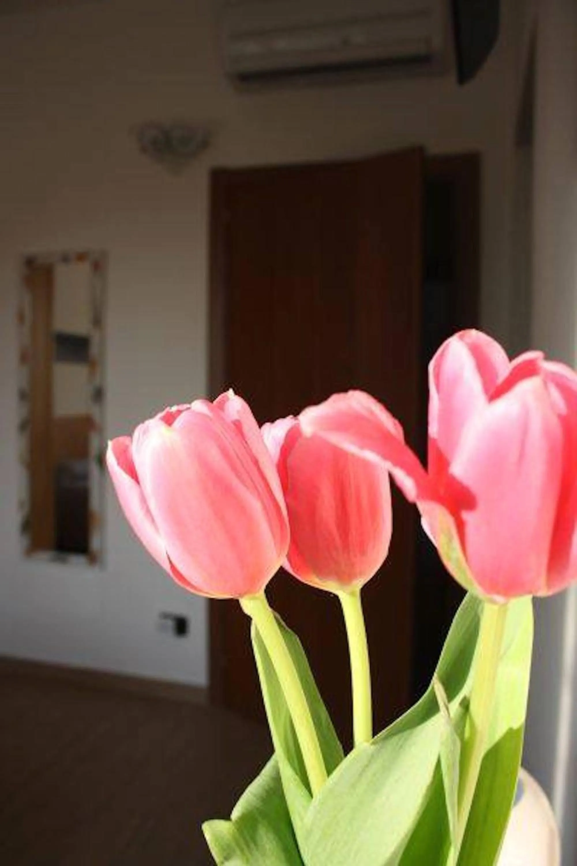 Other in I Due Orfici