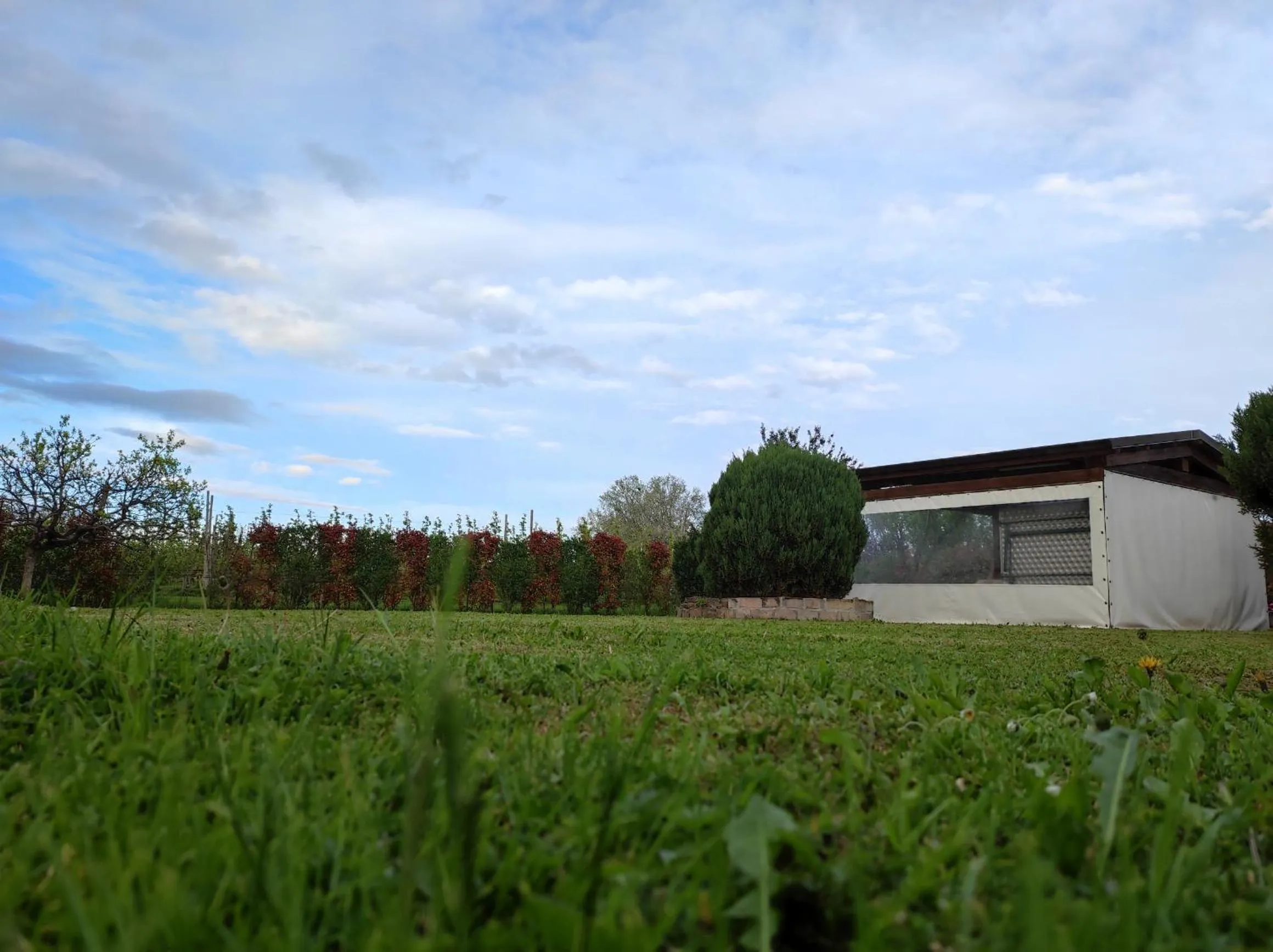 Garden view in I Due Orfici