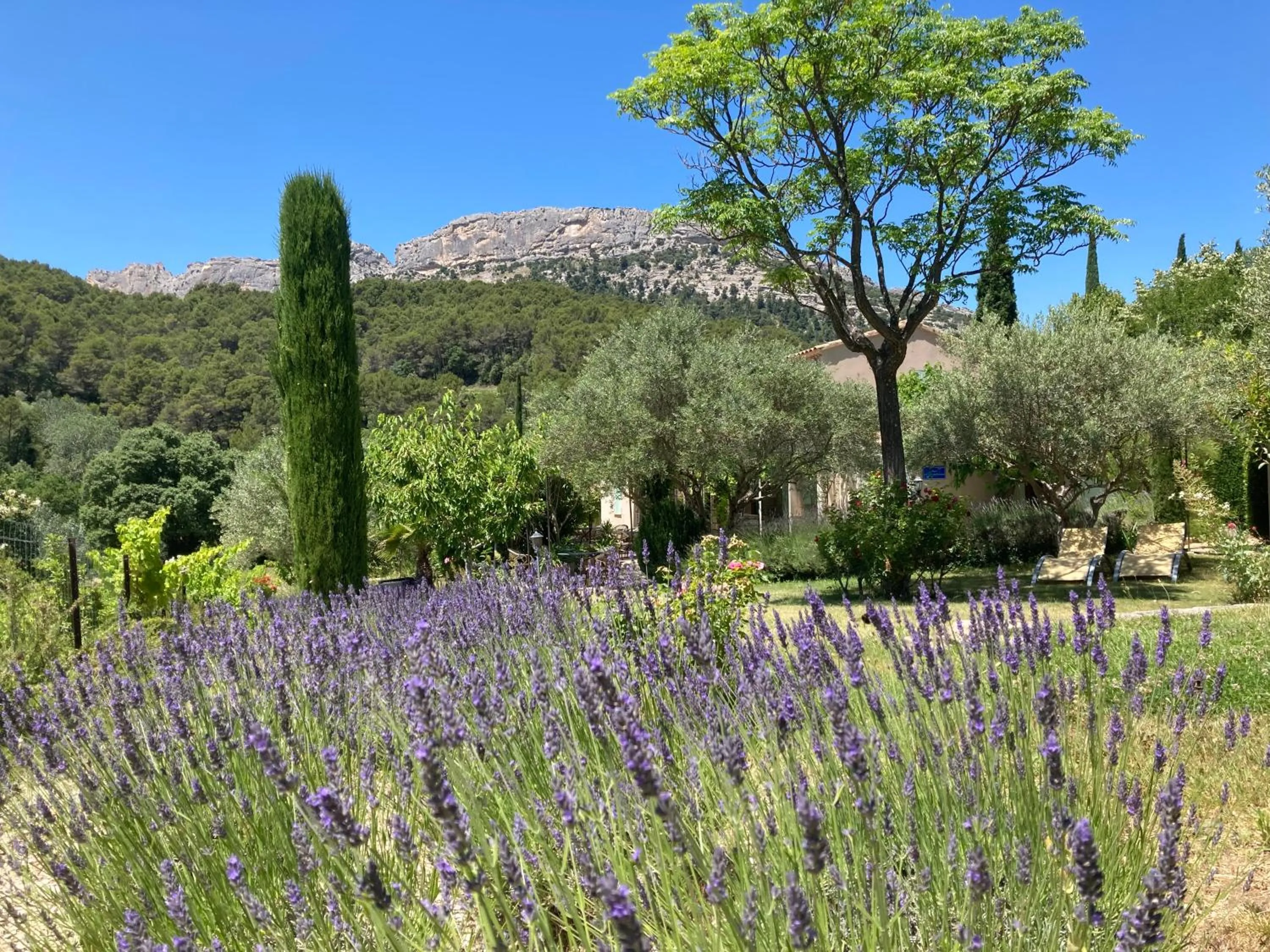 Garden in Chambres & Table d'Hôtes Au Soleil du Bonheur