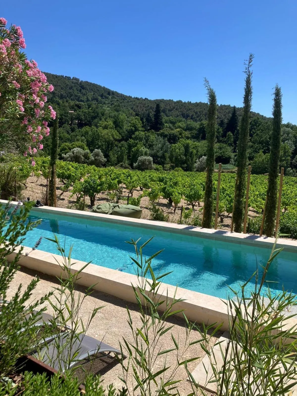 Pool view in Chambres & Table d'Hôtes Au Soleil du Bonheur
