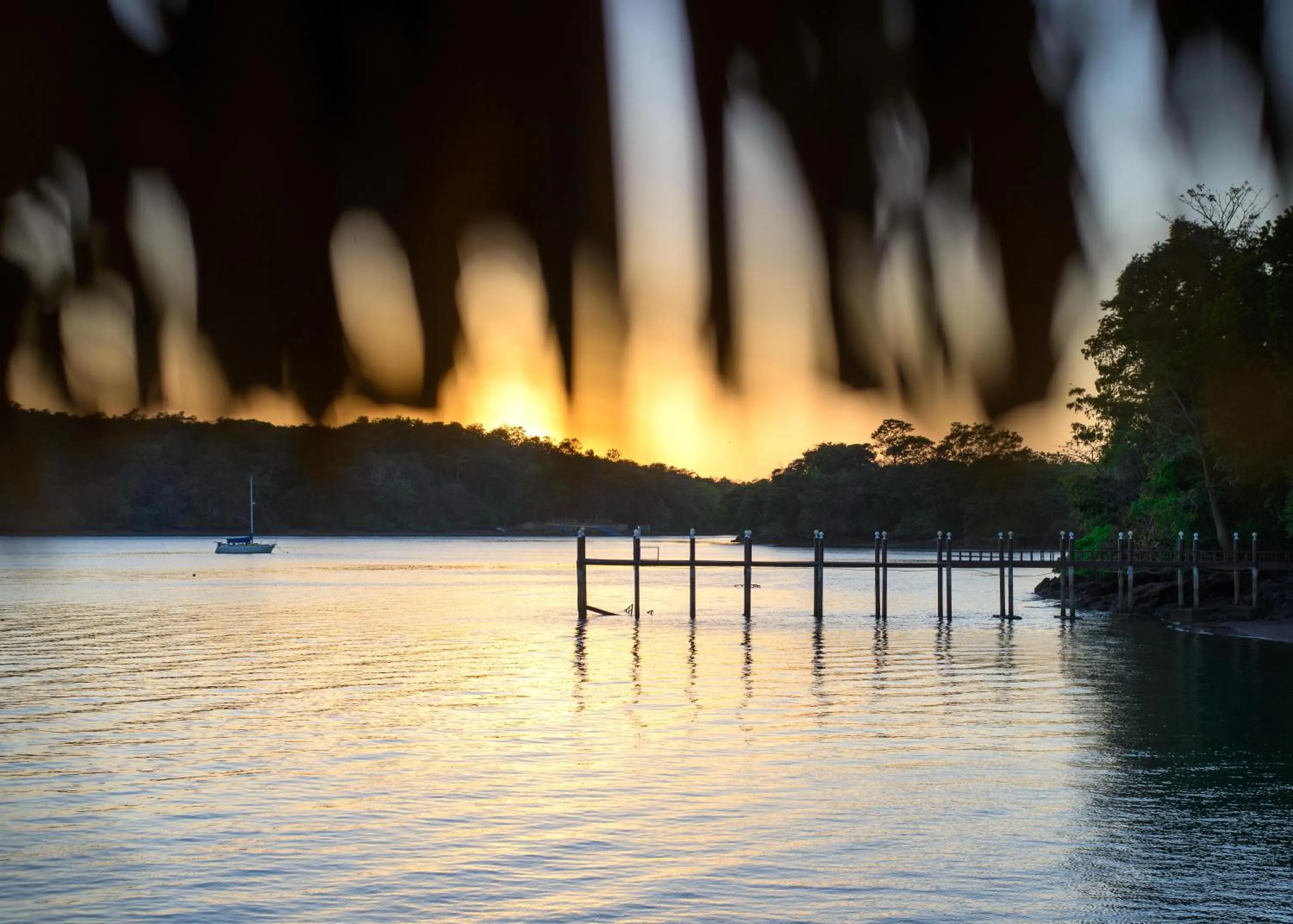 Natural landscape in Seagull Cove Resort