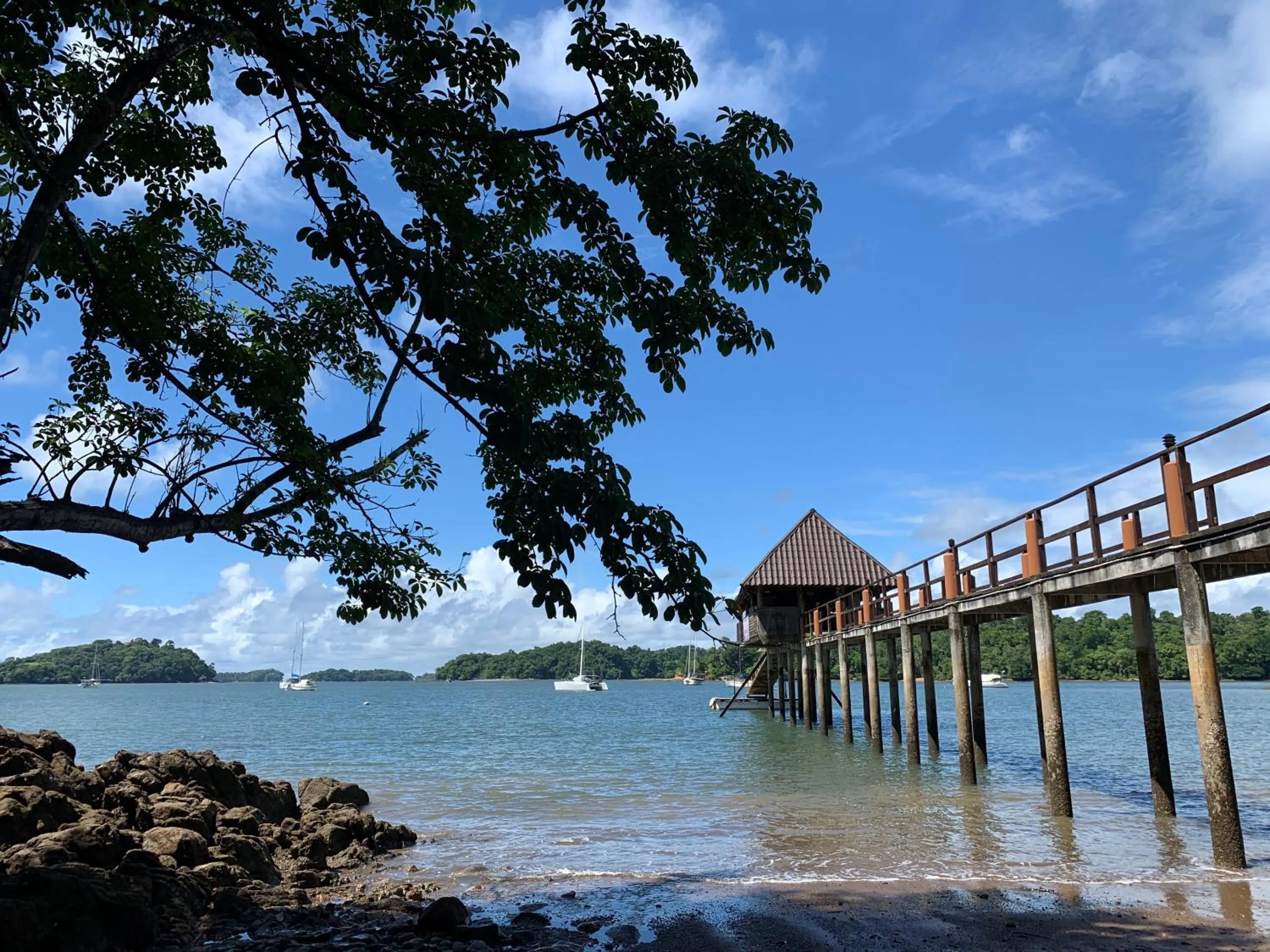 Natural landscape in Seagull Cove Resort