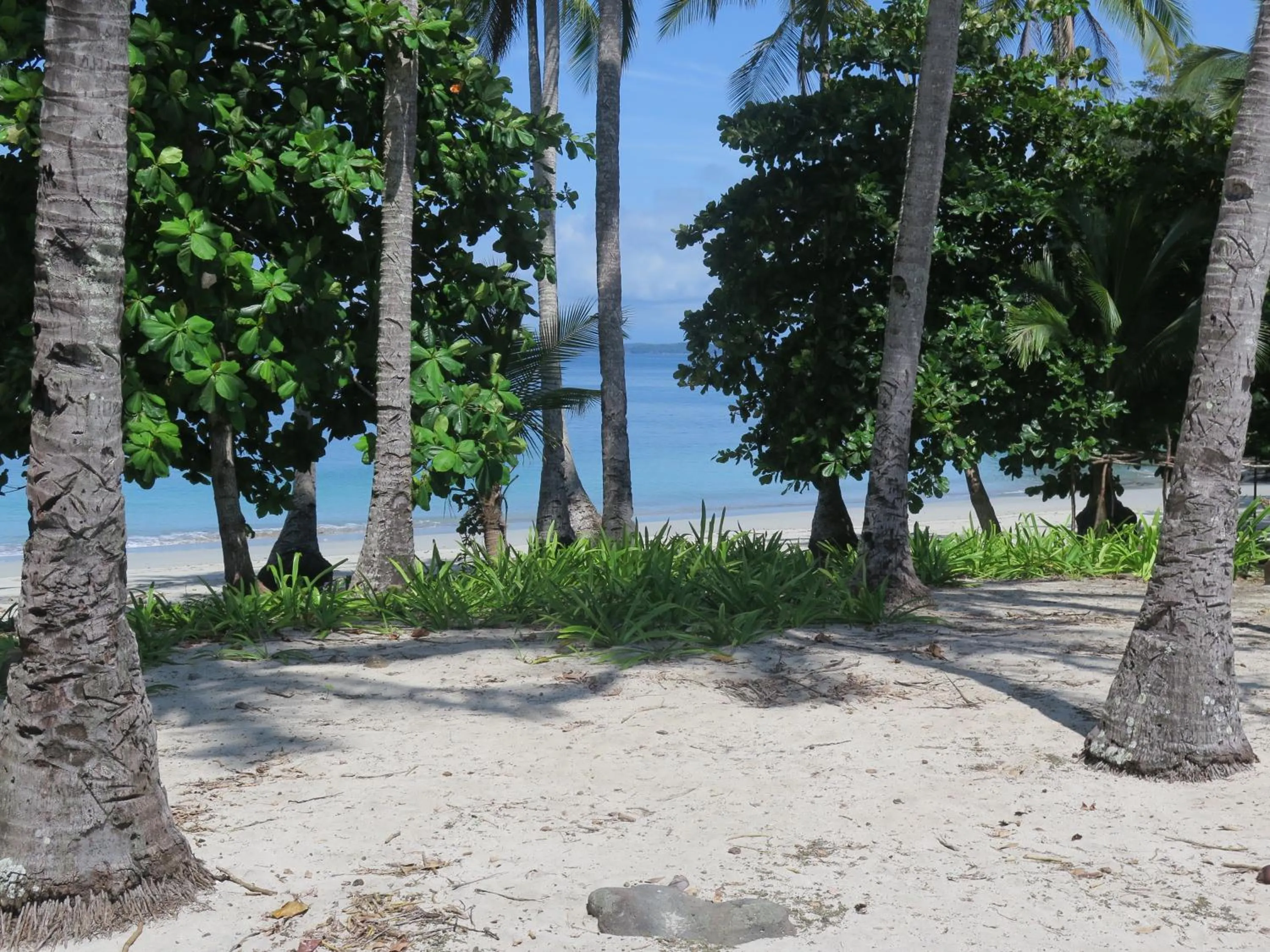 Off site in Seagull Cove Resort