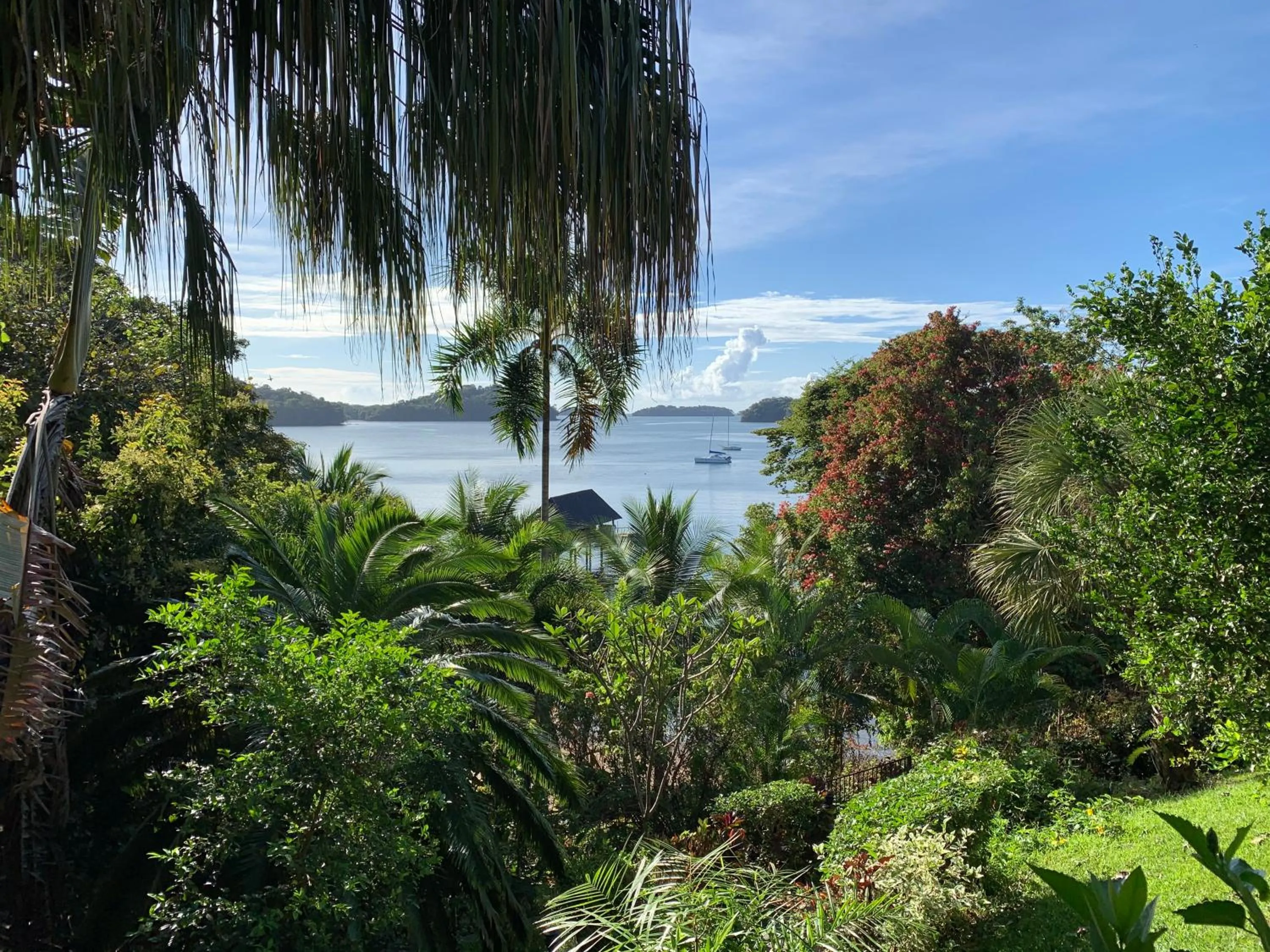 Natural landscape in Seagull Cove Resort