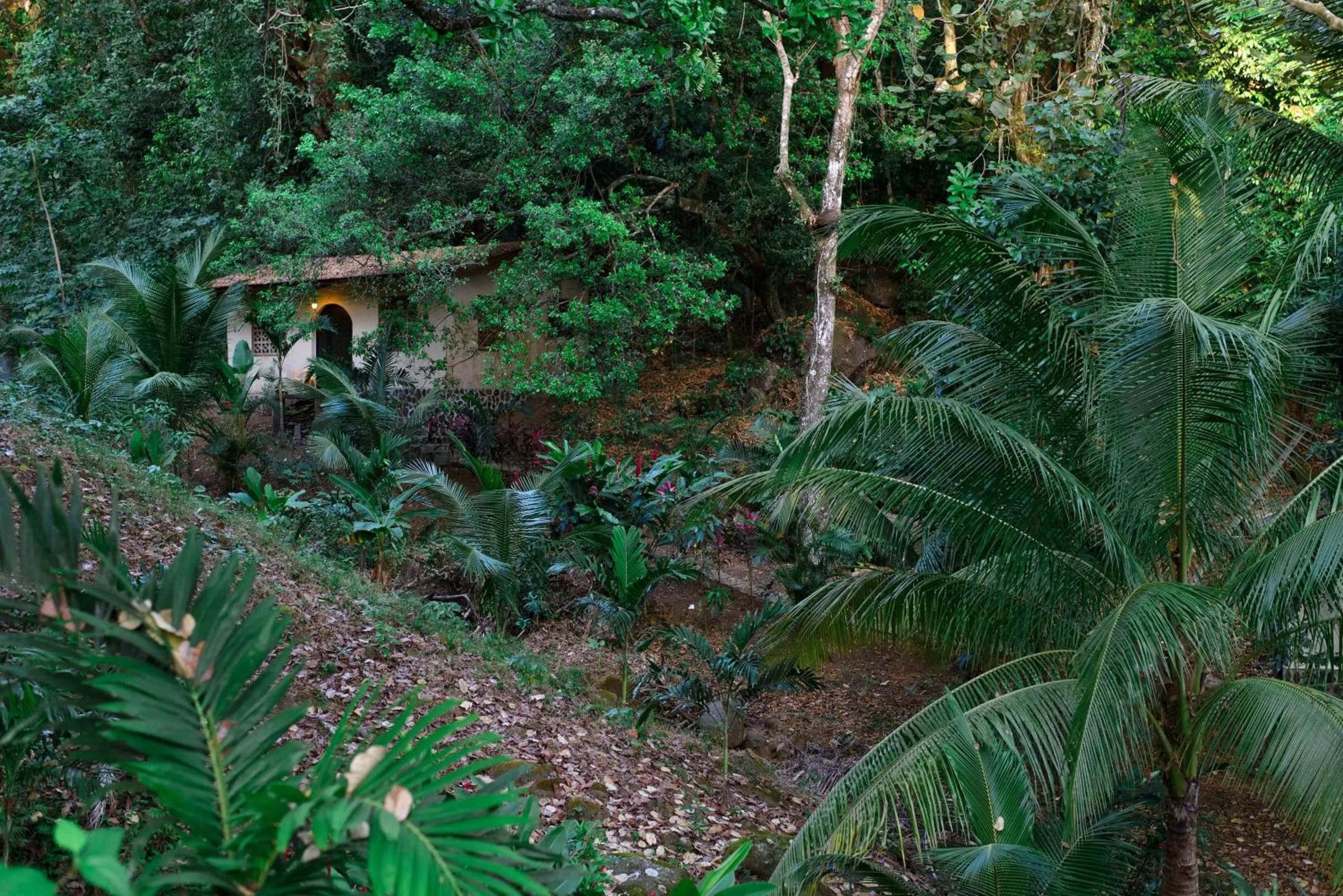 Garden view in Seagull Cove Resort