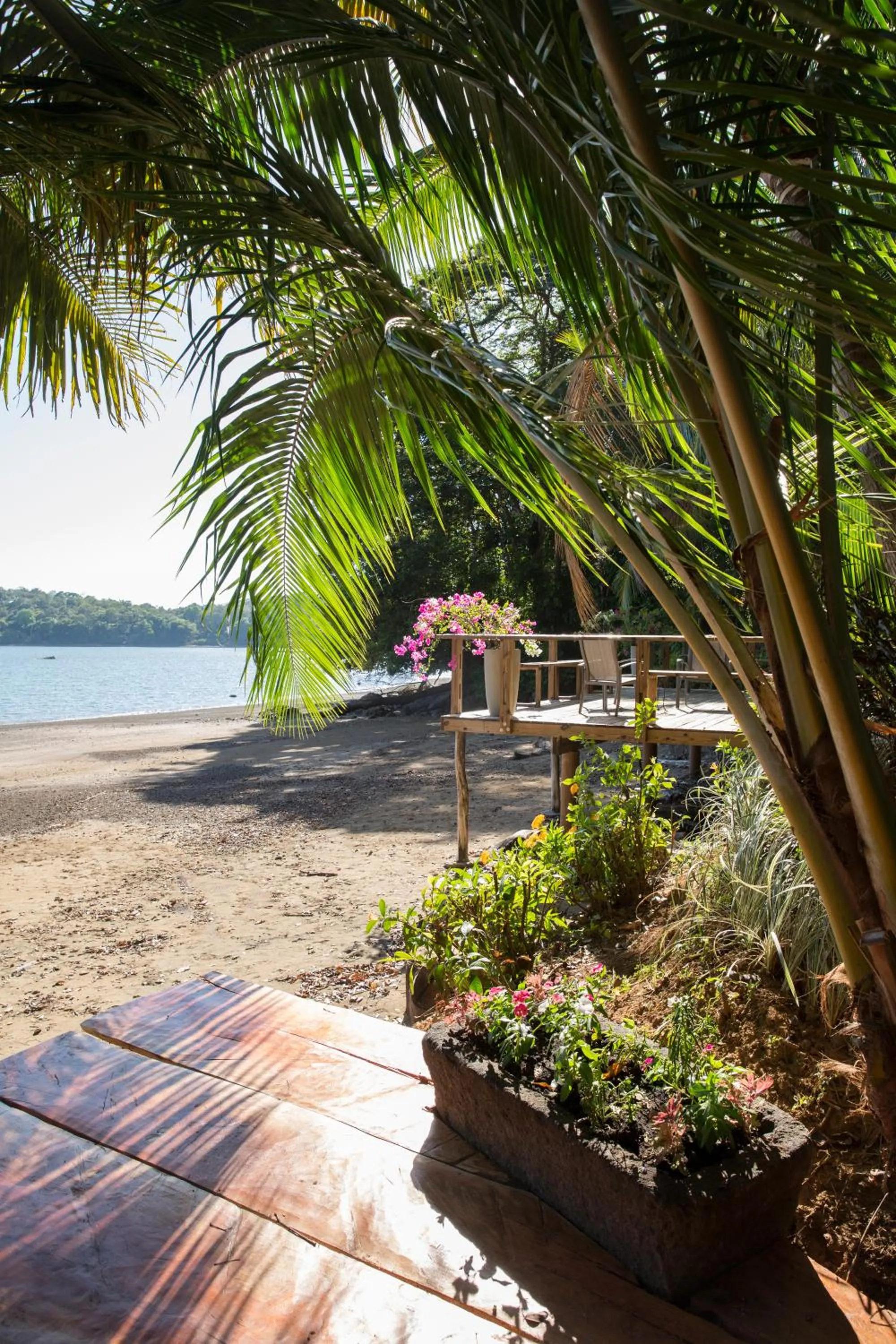 Garden in Seagull Cove Resort