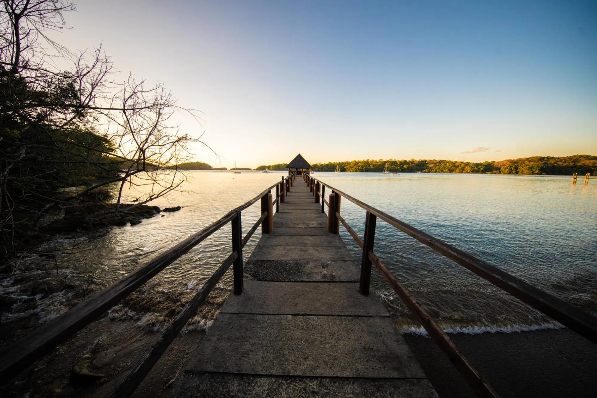 Natural landscape in Seagull Cove Resort