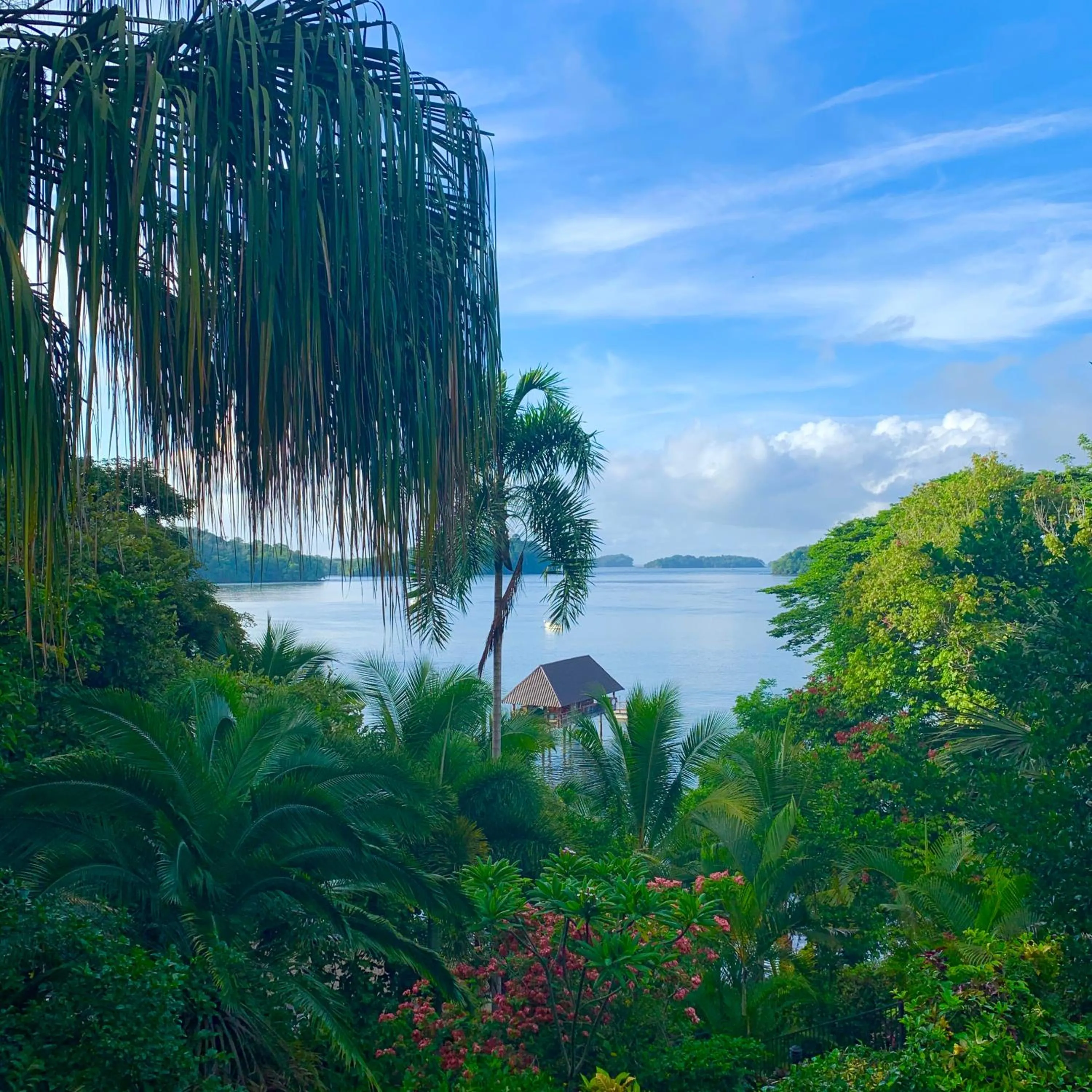 Sea view in Seagull Cove Resort
