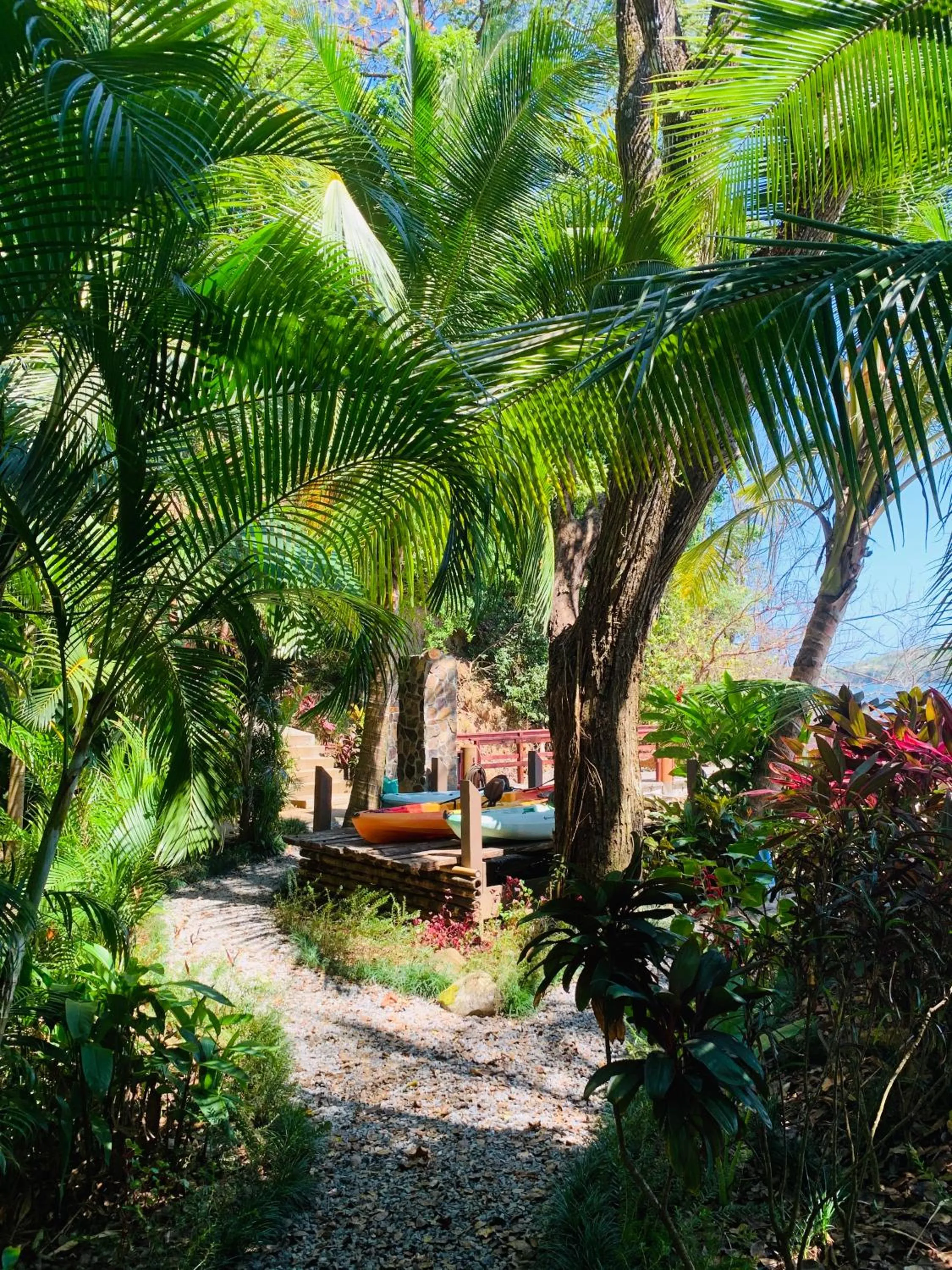 Garden in Seagull Cove Resort