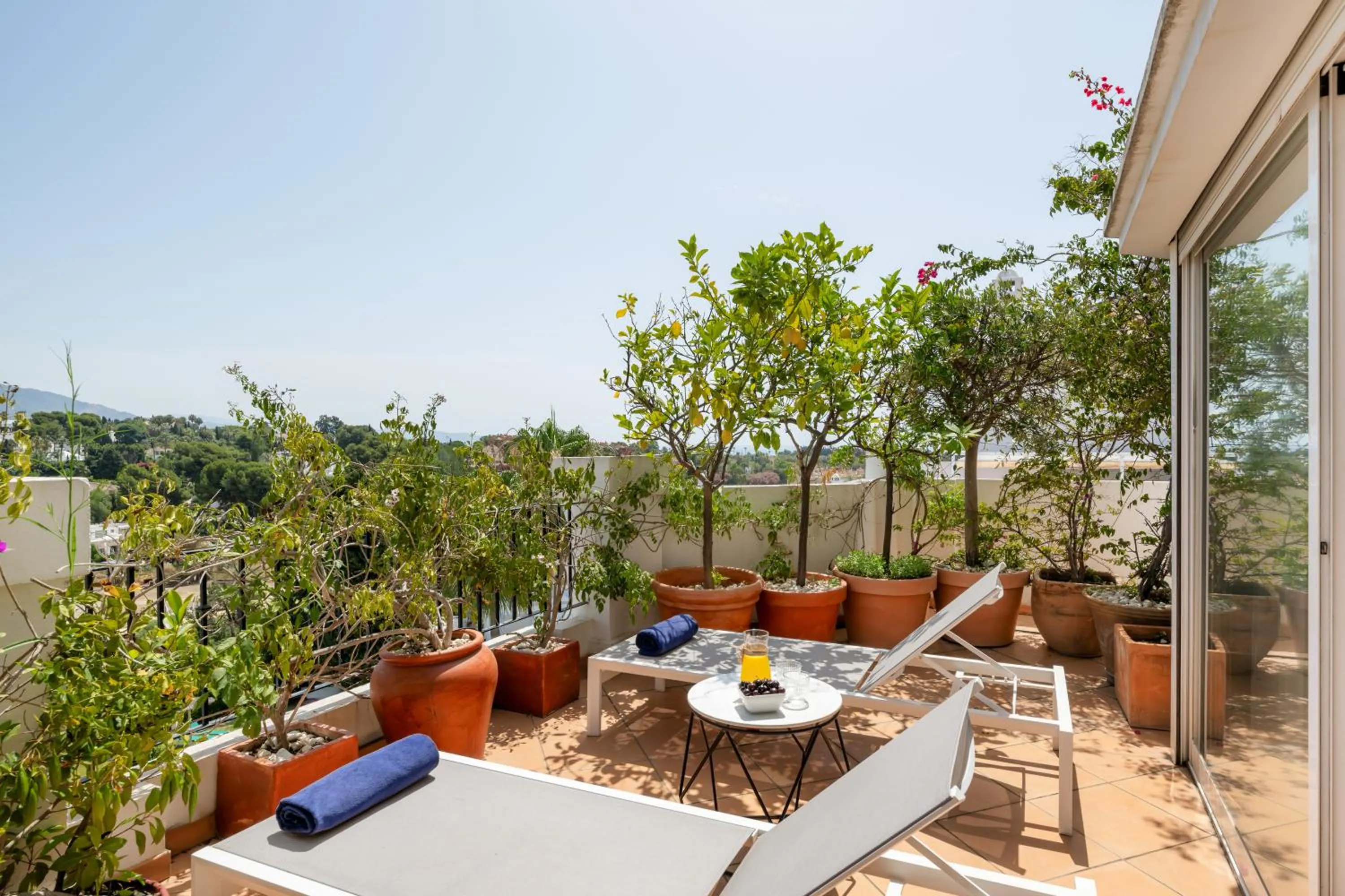 View (from property/room) in Molo Luxury Suites Puerto Banus