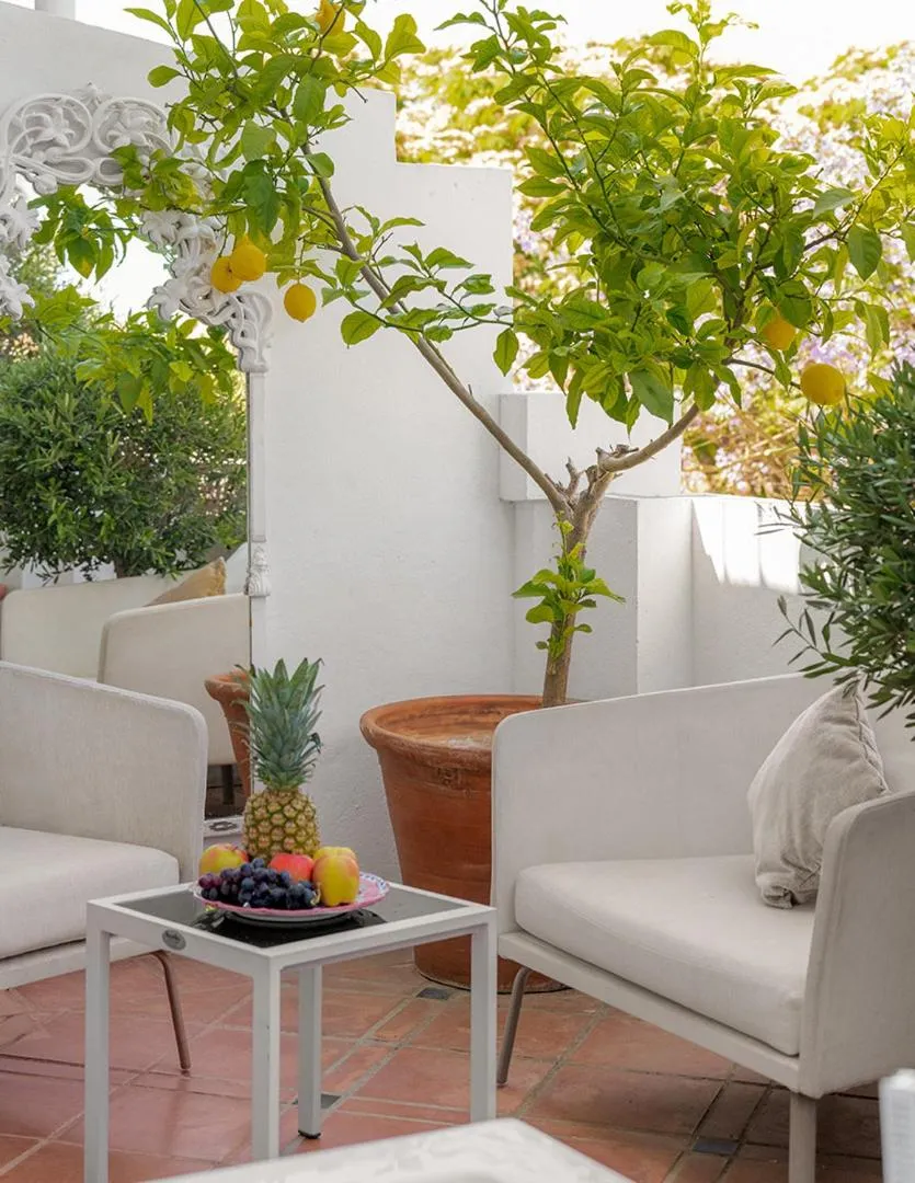 Patio in Molo Luxury Suites Puerto Banus