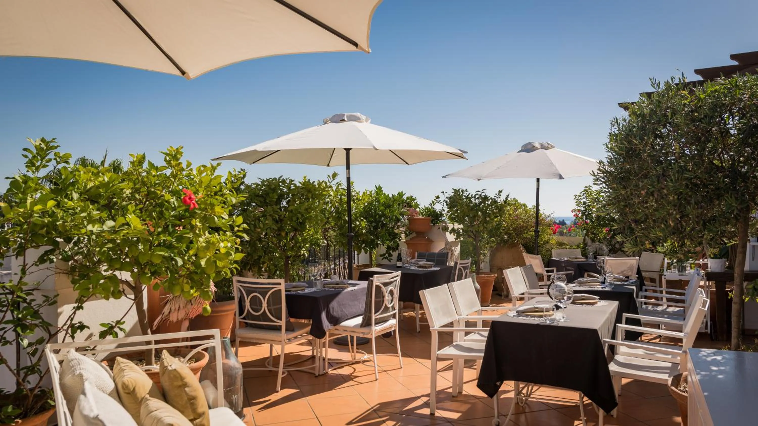 Restaurant/places to eat in Molo Luxury Suites Puerto Banus