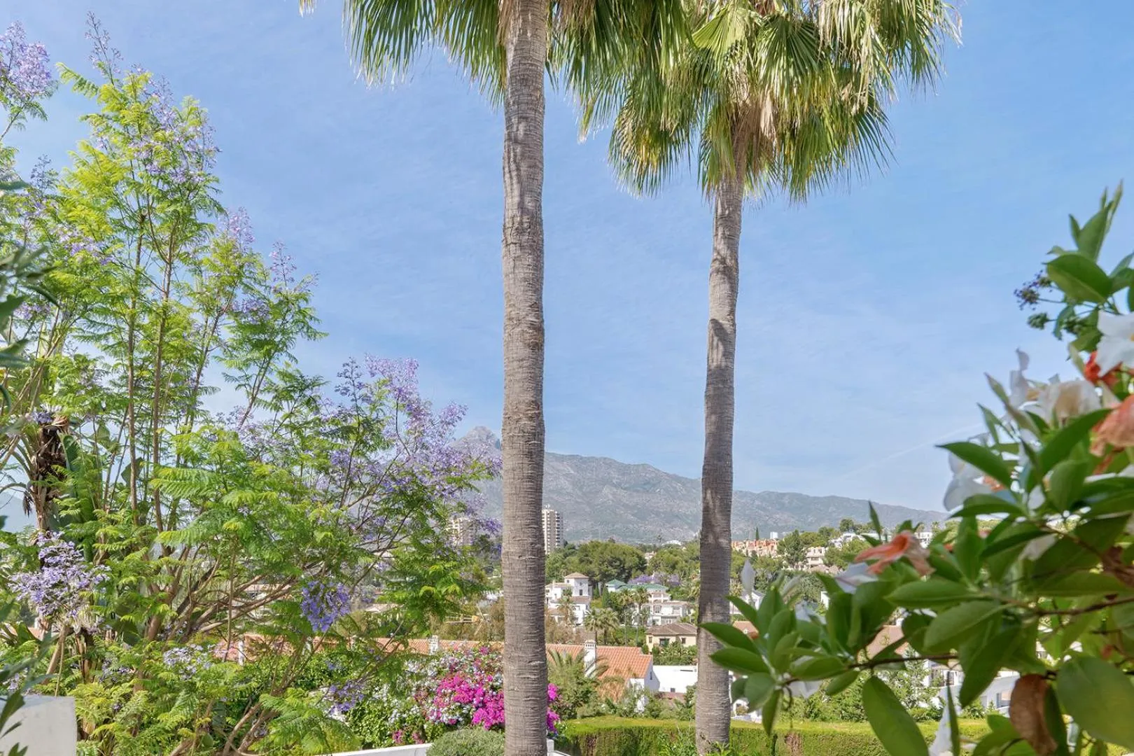 Mountain view in Molo Luxury Suites Puerto Banus