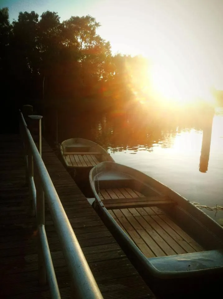 Garden in Haus am Spreebogen