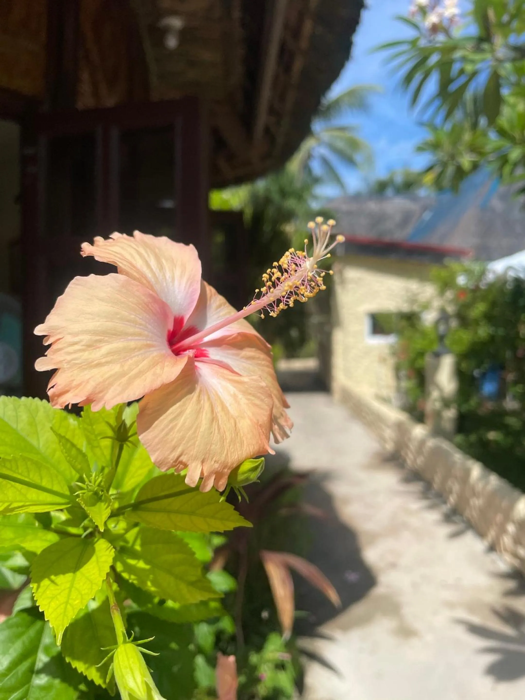 Day in Victory Seaside Home