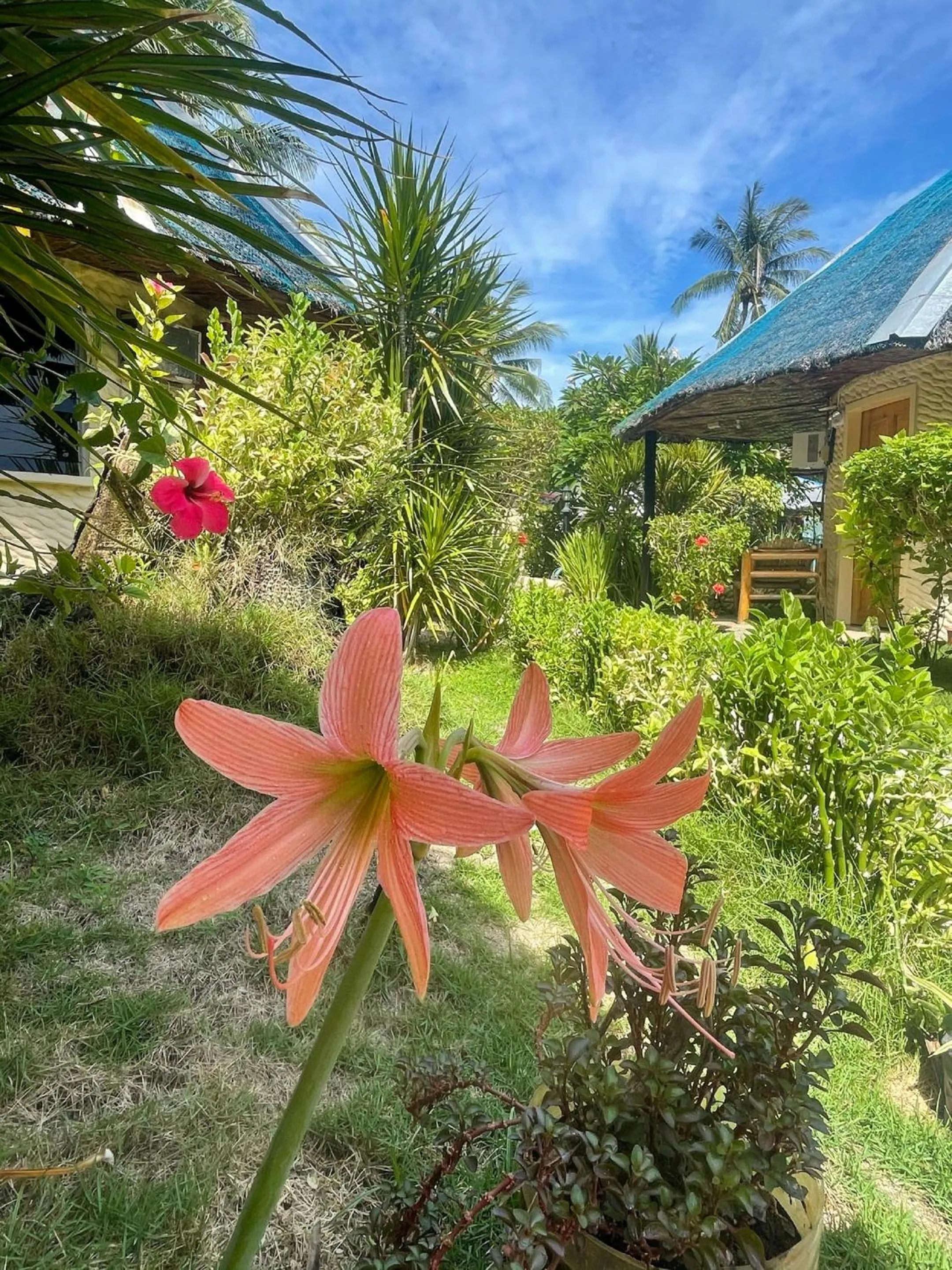 Day in Victory Seaside Home