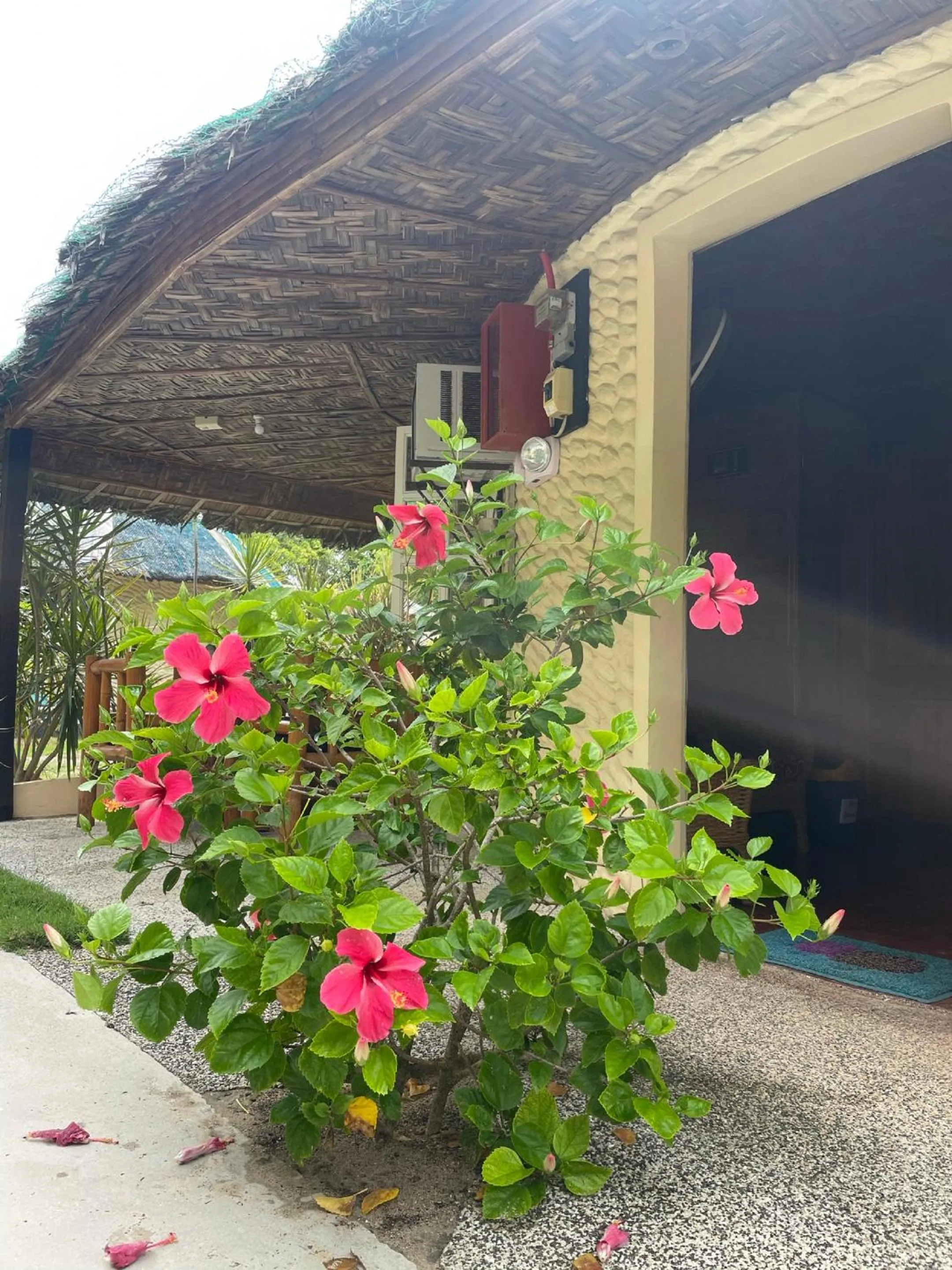 Garden in Victory Seaside Home