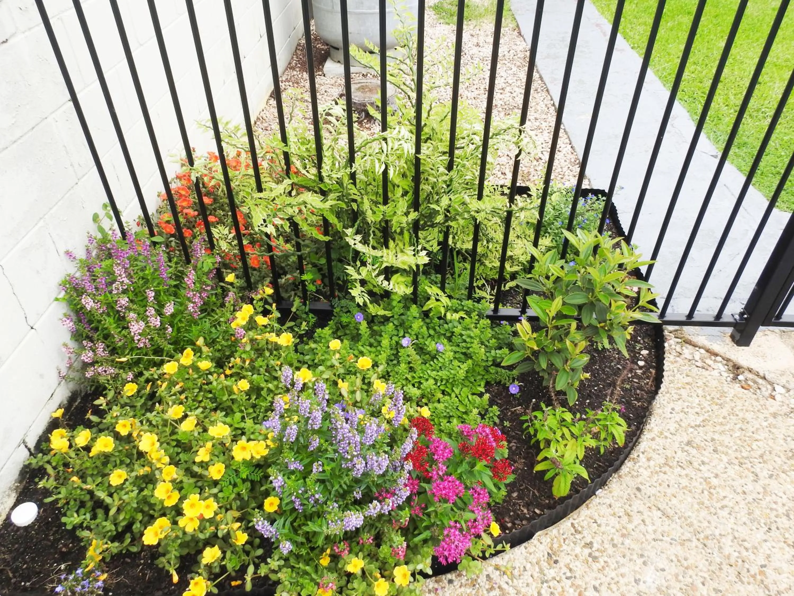 Garden in Tropic Coast Motel
