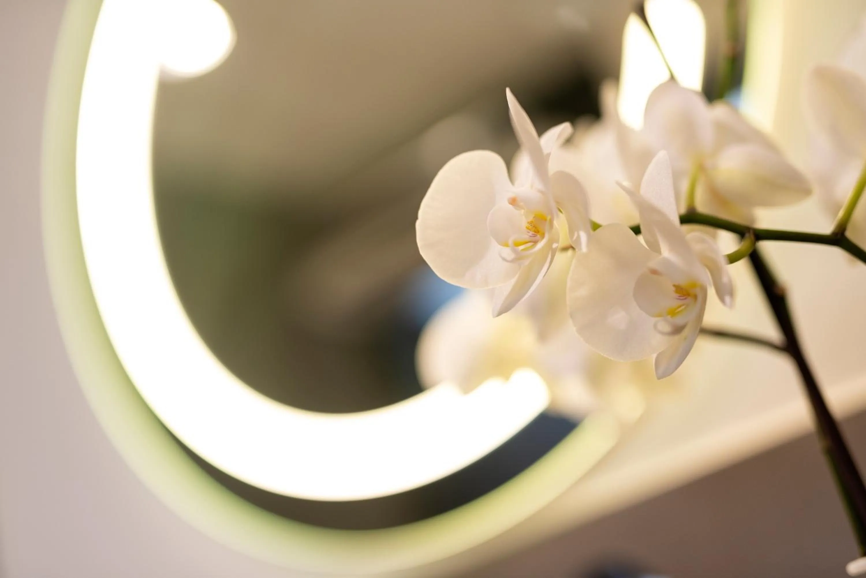 Decorative detail in Giuditta in Trastevere