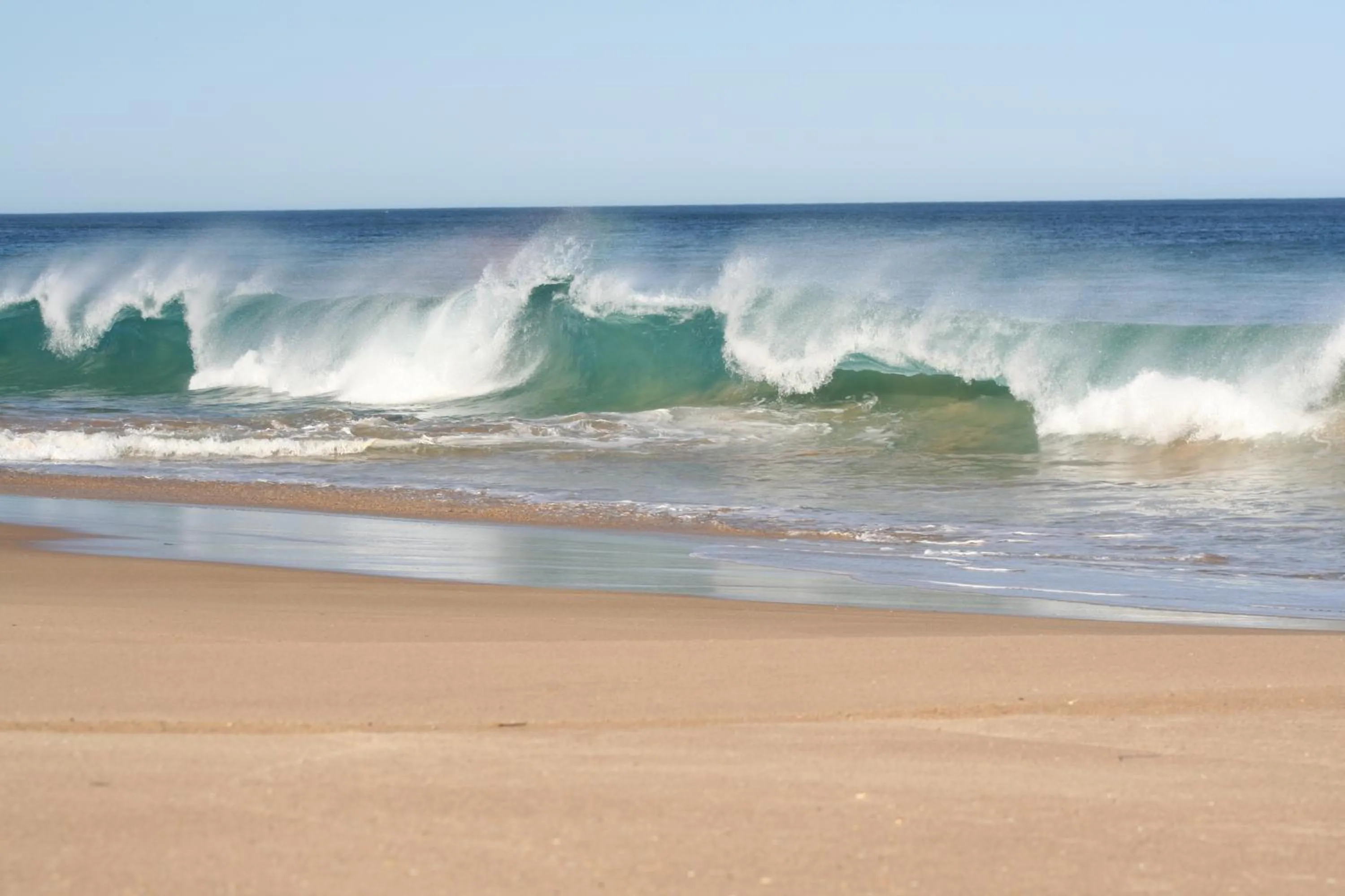Windsurfing in Island Breeze Motel