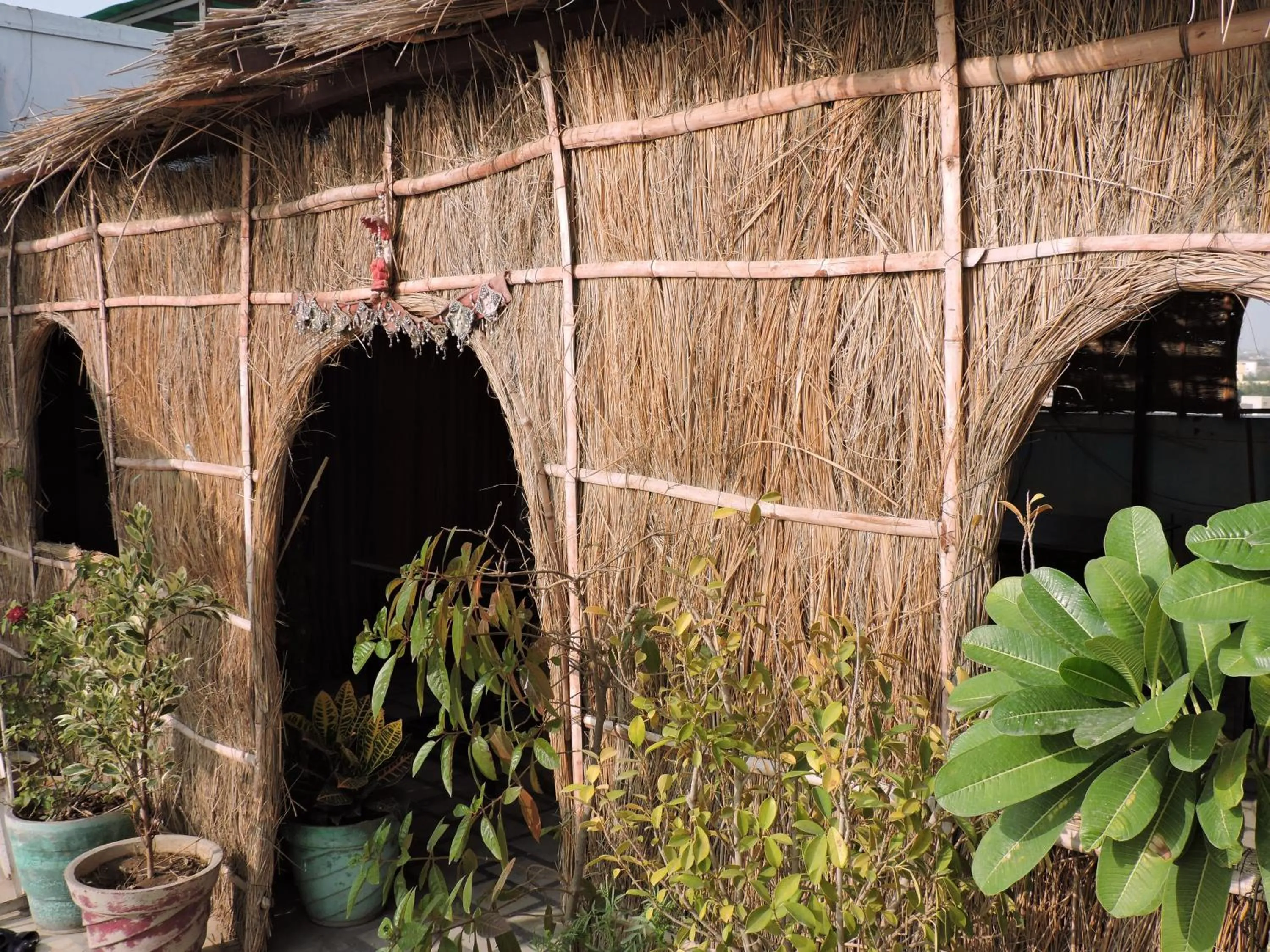 Restaurant/places to eat in Jamna Vilas Guest House and Restaurant