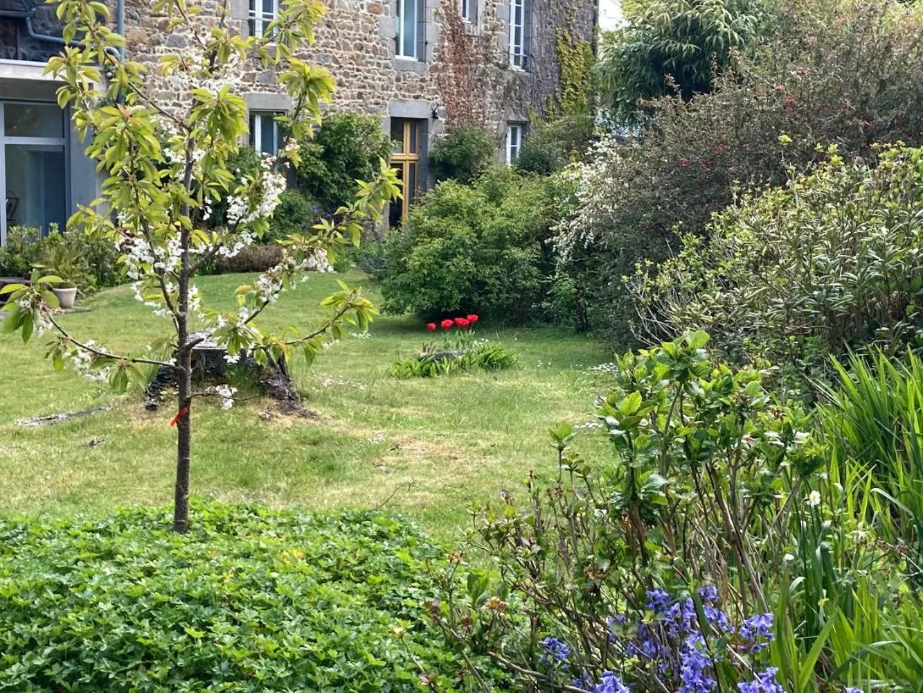 Garden in Chambres d hôtes du Moulin à papier